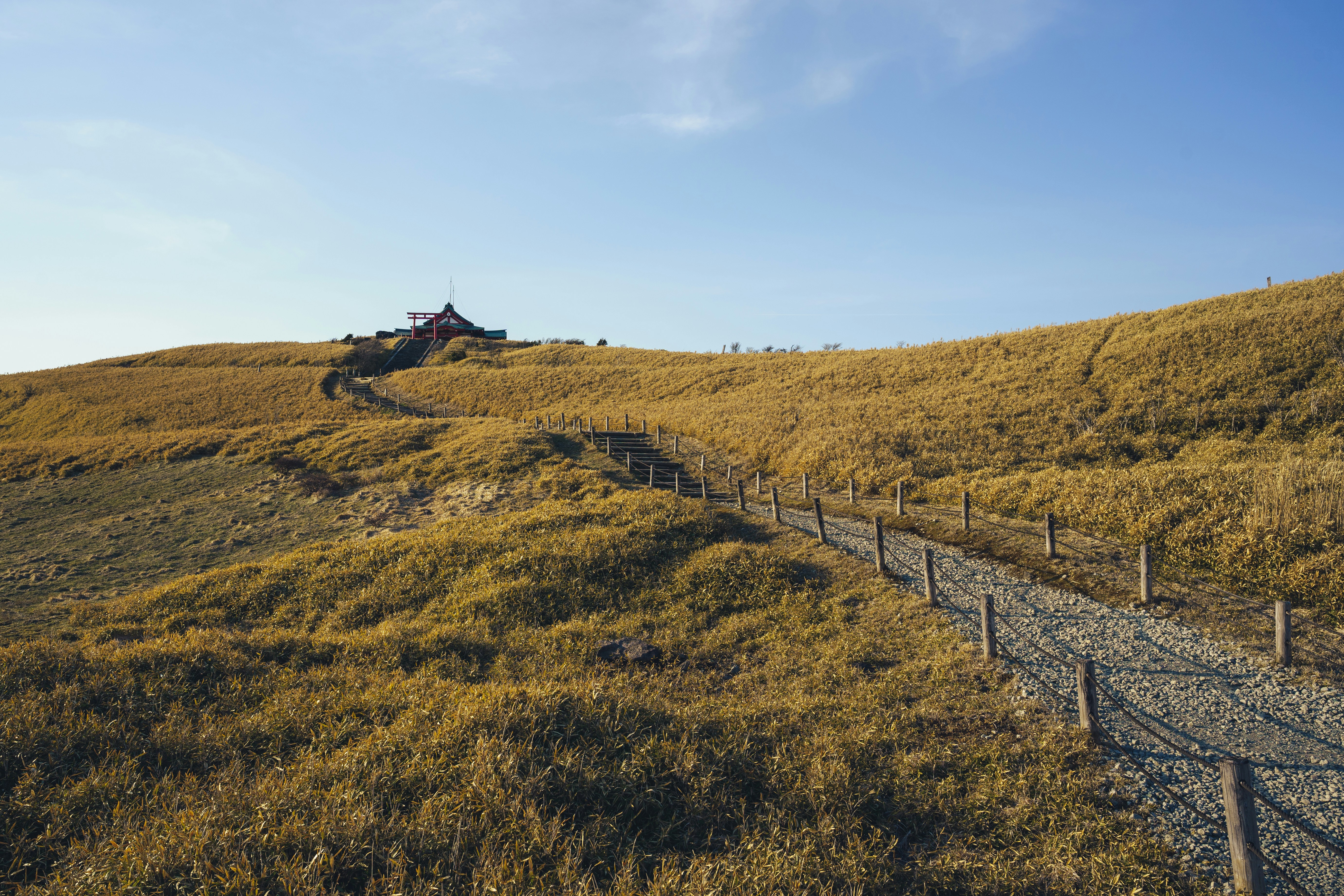 A gravel path winds through golden grass towards a building.