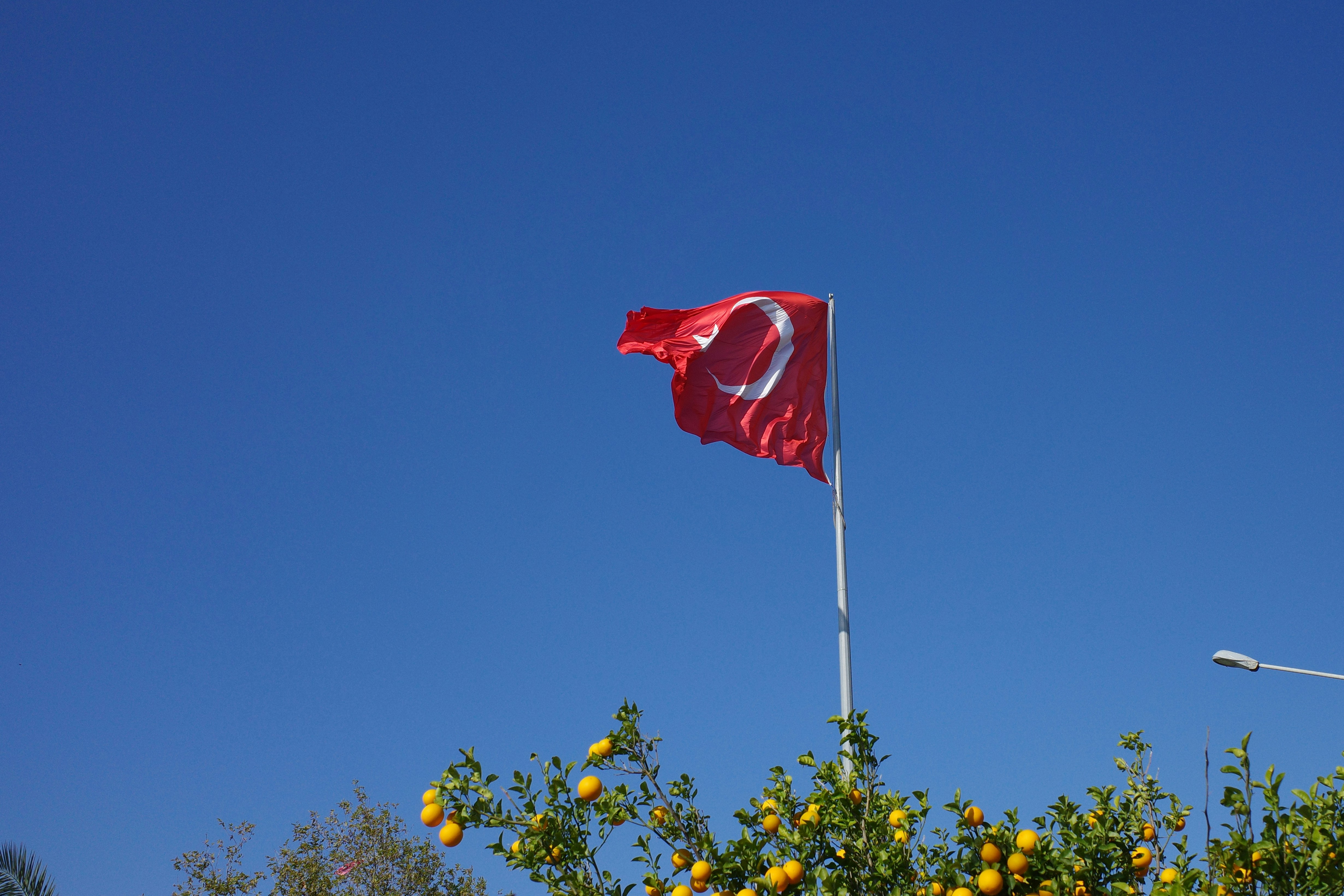 Turkish flag waving against a clear blue sky.