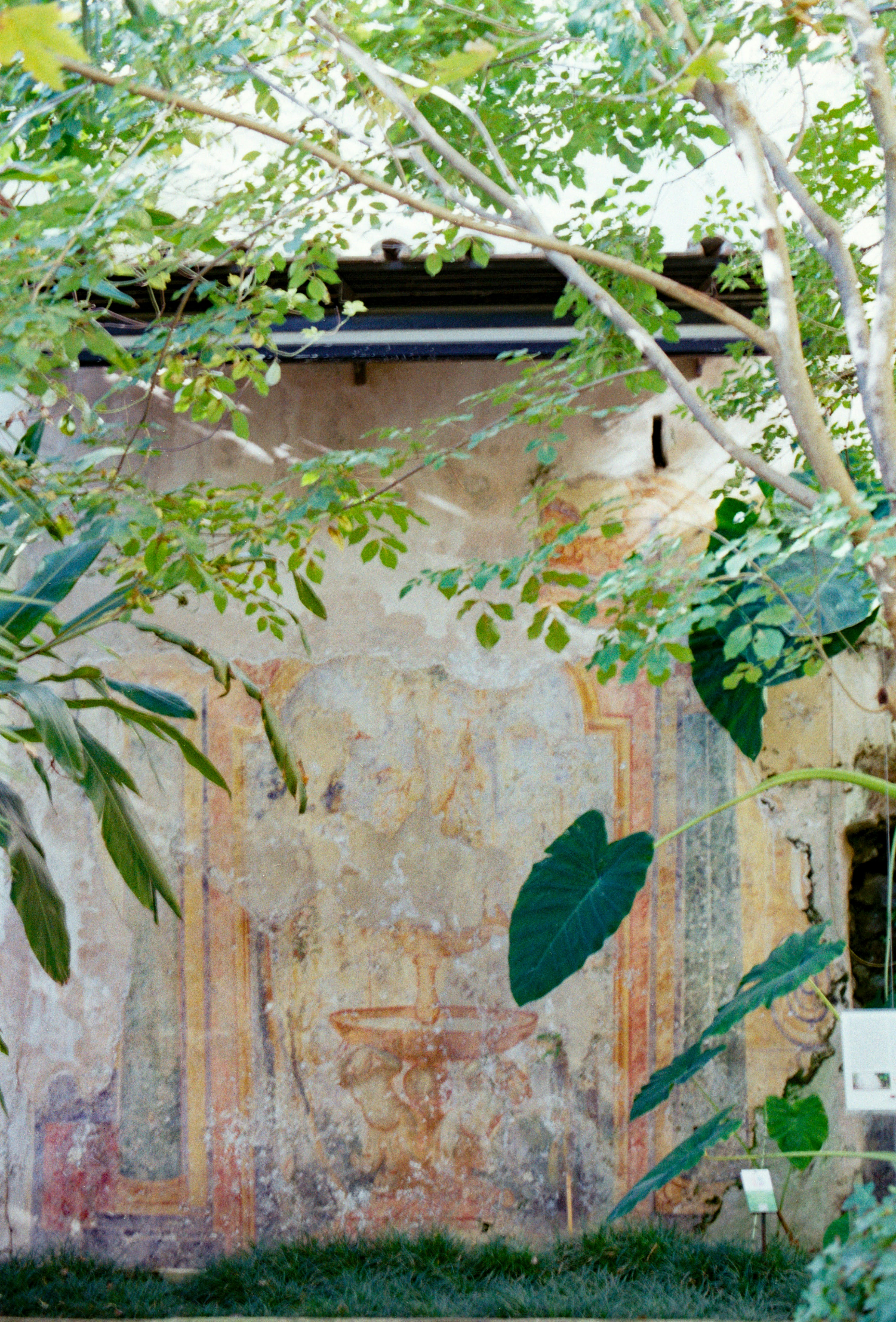 Photo by chrisvomradio