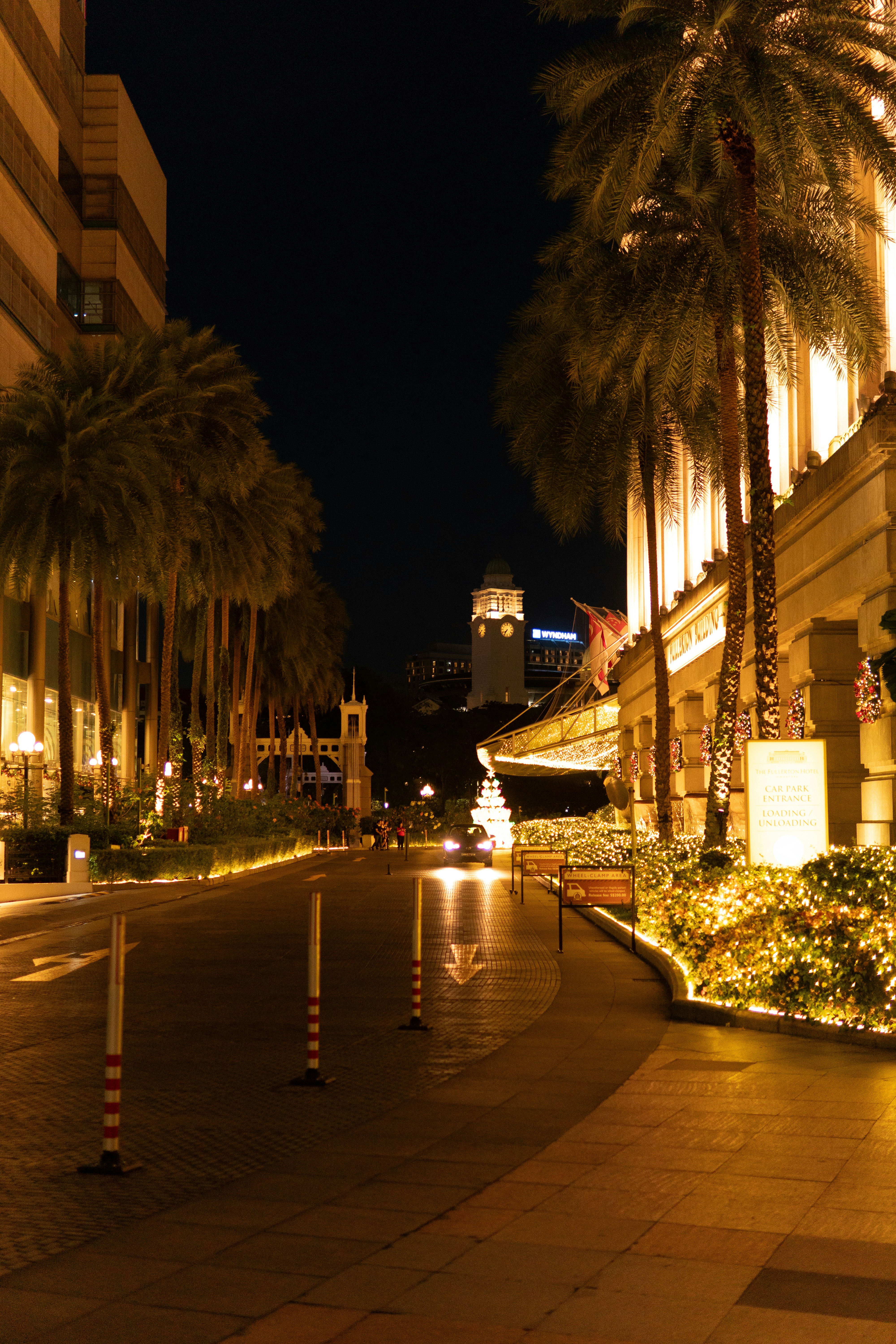 Palm trees line a street decorated with lights at night.