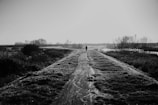 A lone figure walks down a path towards the horizon.