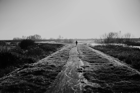 A lone figure walks down a path towards the horizon.