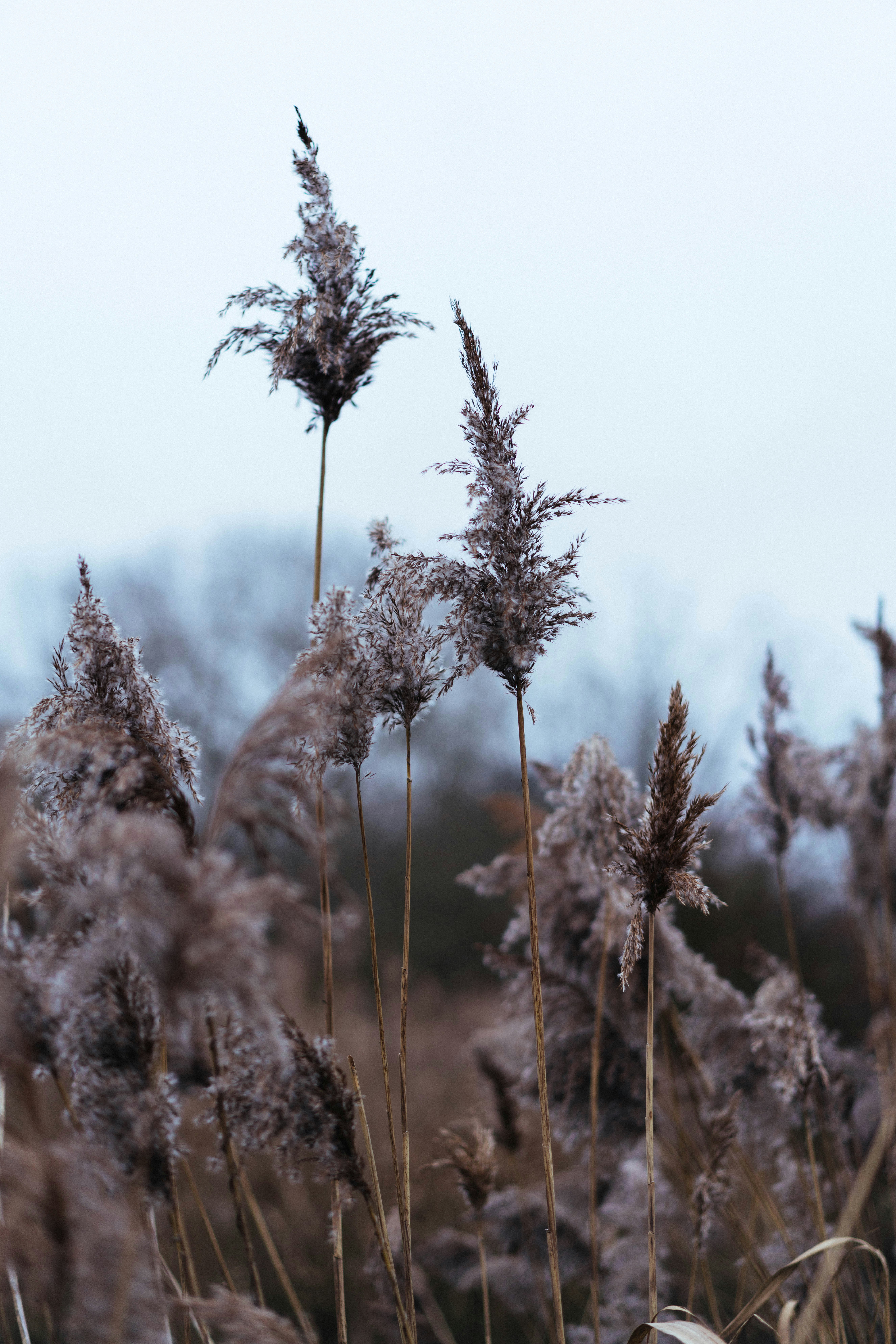 Photo by philhearing