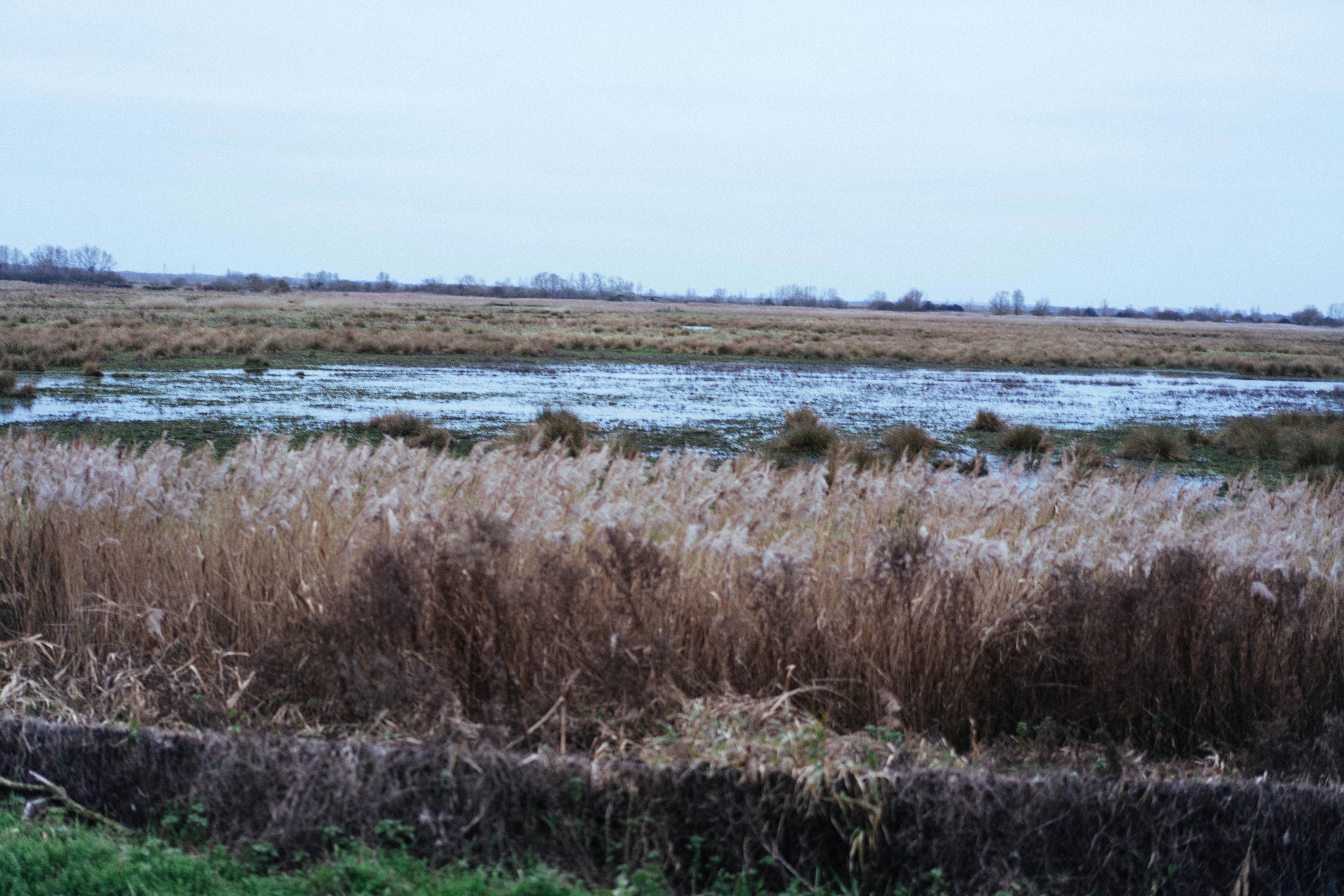 Photo by philhearing