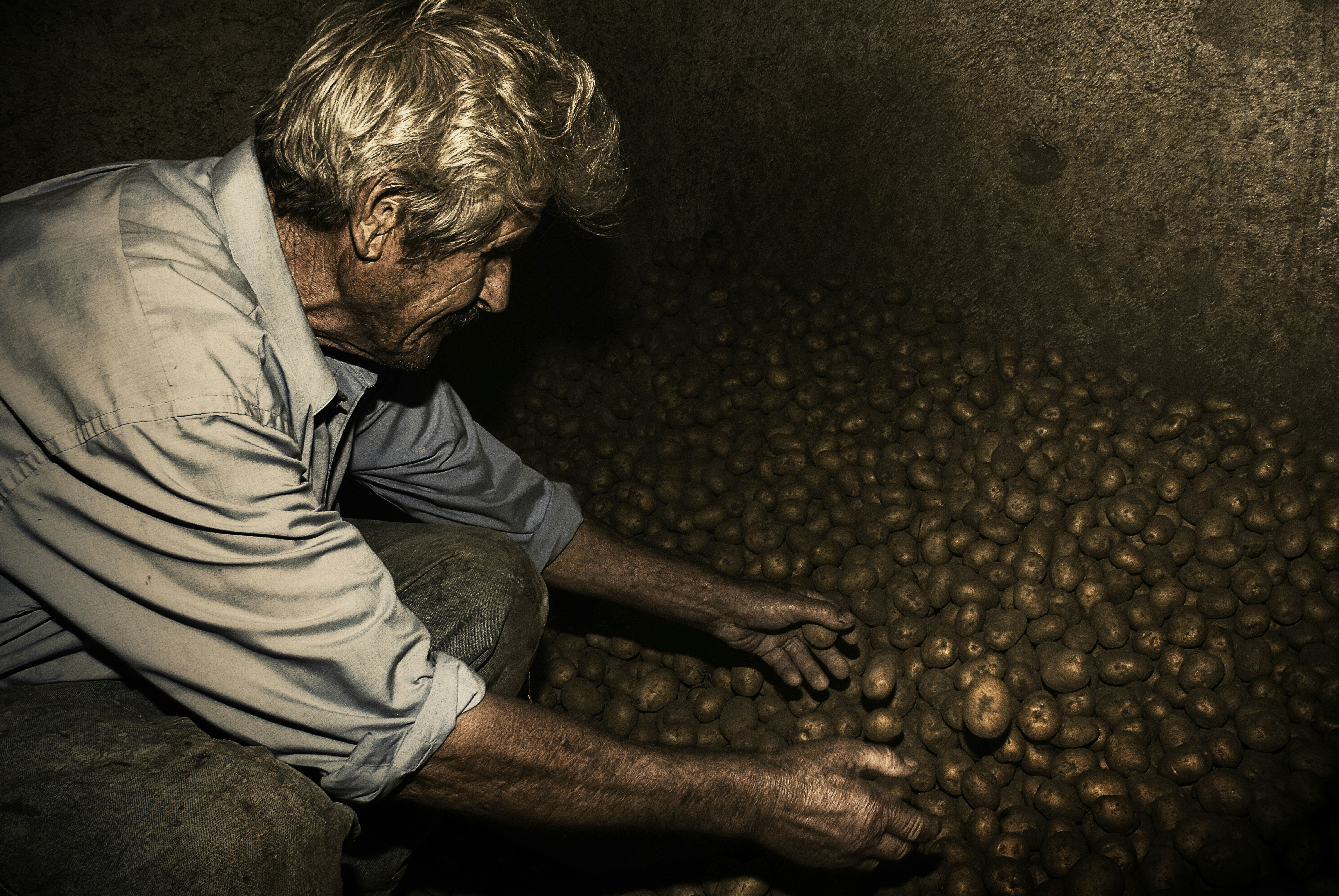 Farmer inspecting a large pile of potatoes