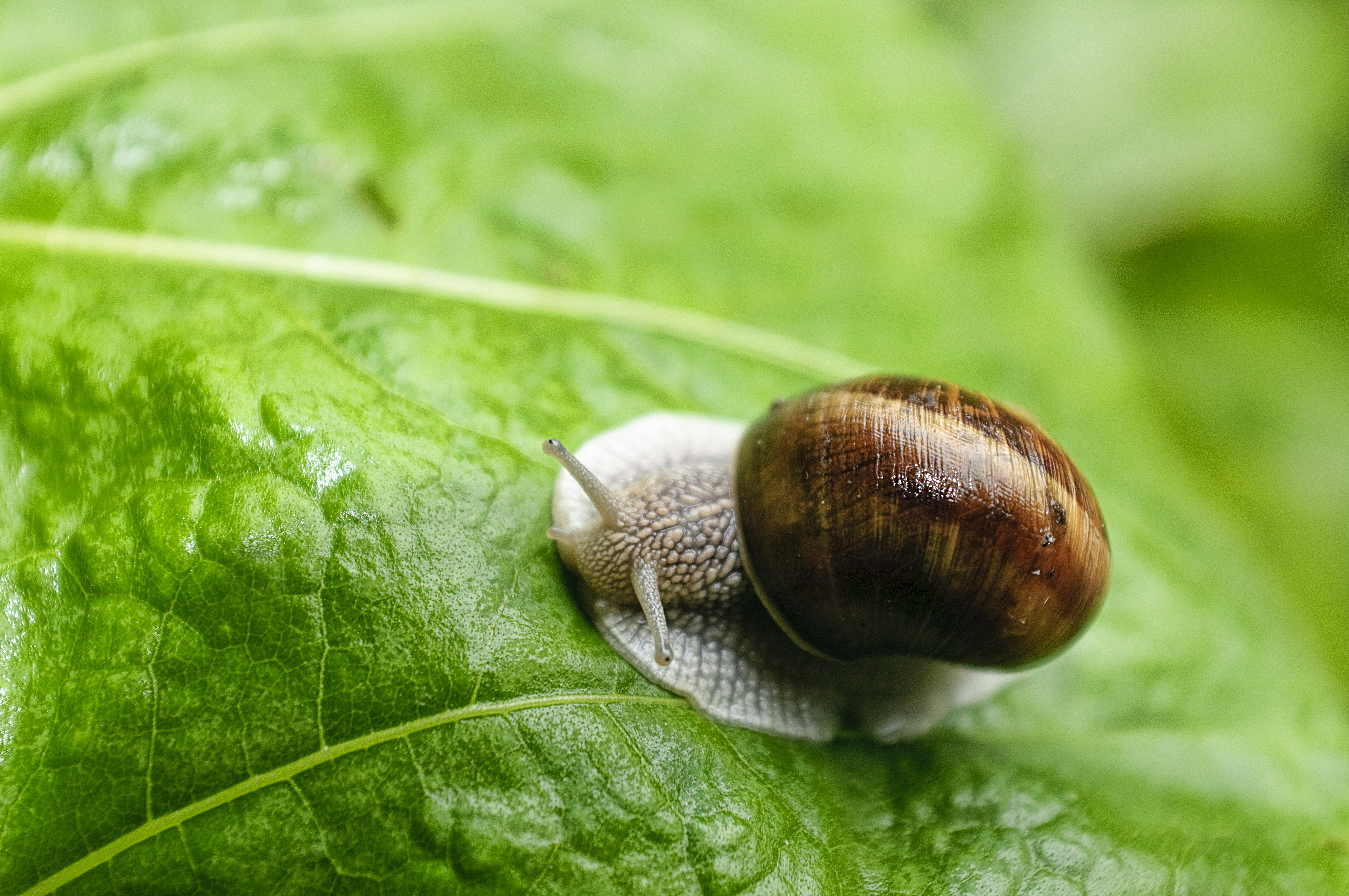 Photo by morganmarinoni