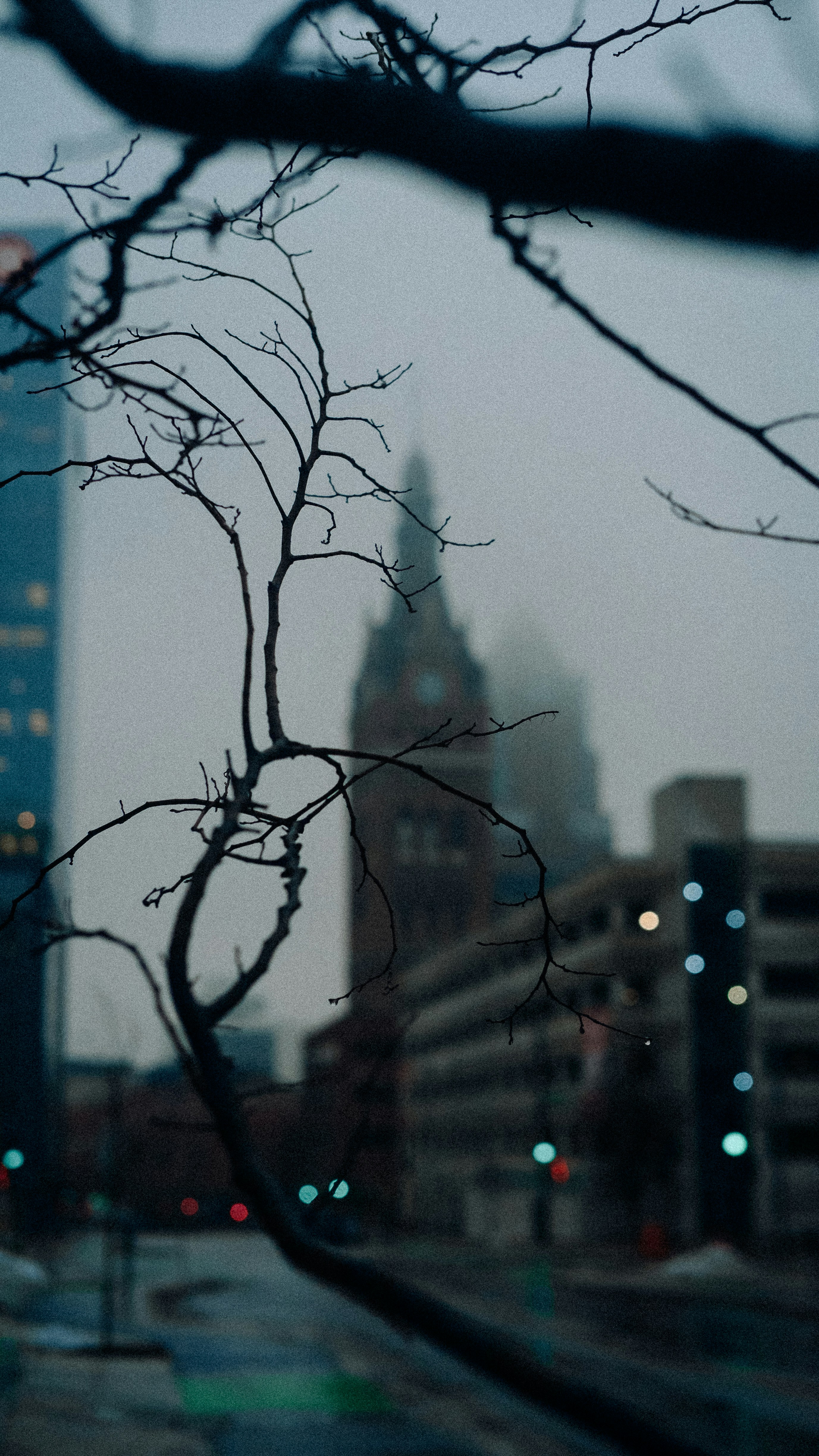 Photo by chris_lynch_