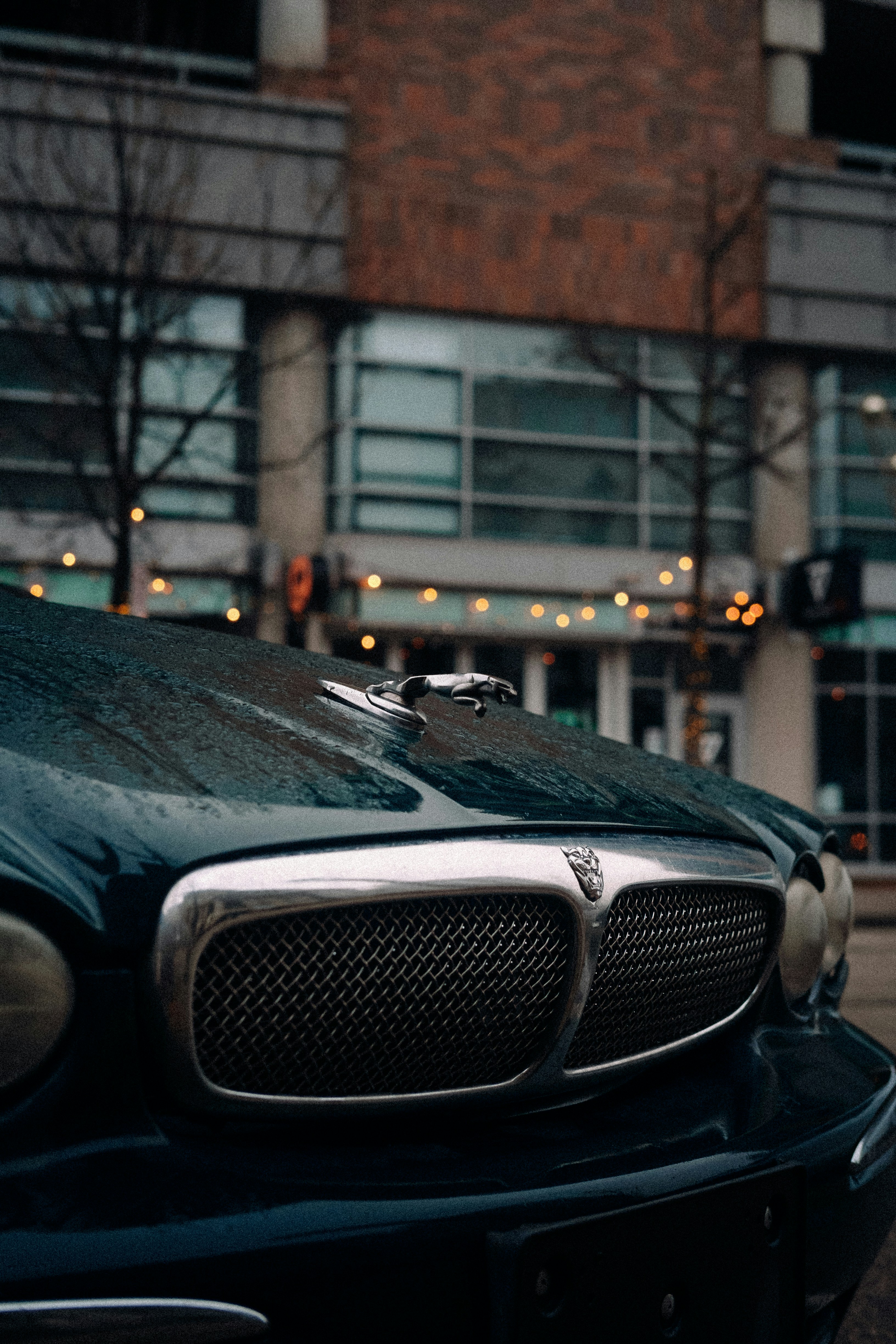 ダークな高級車グリルのクローズアップ