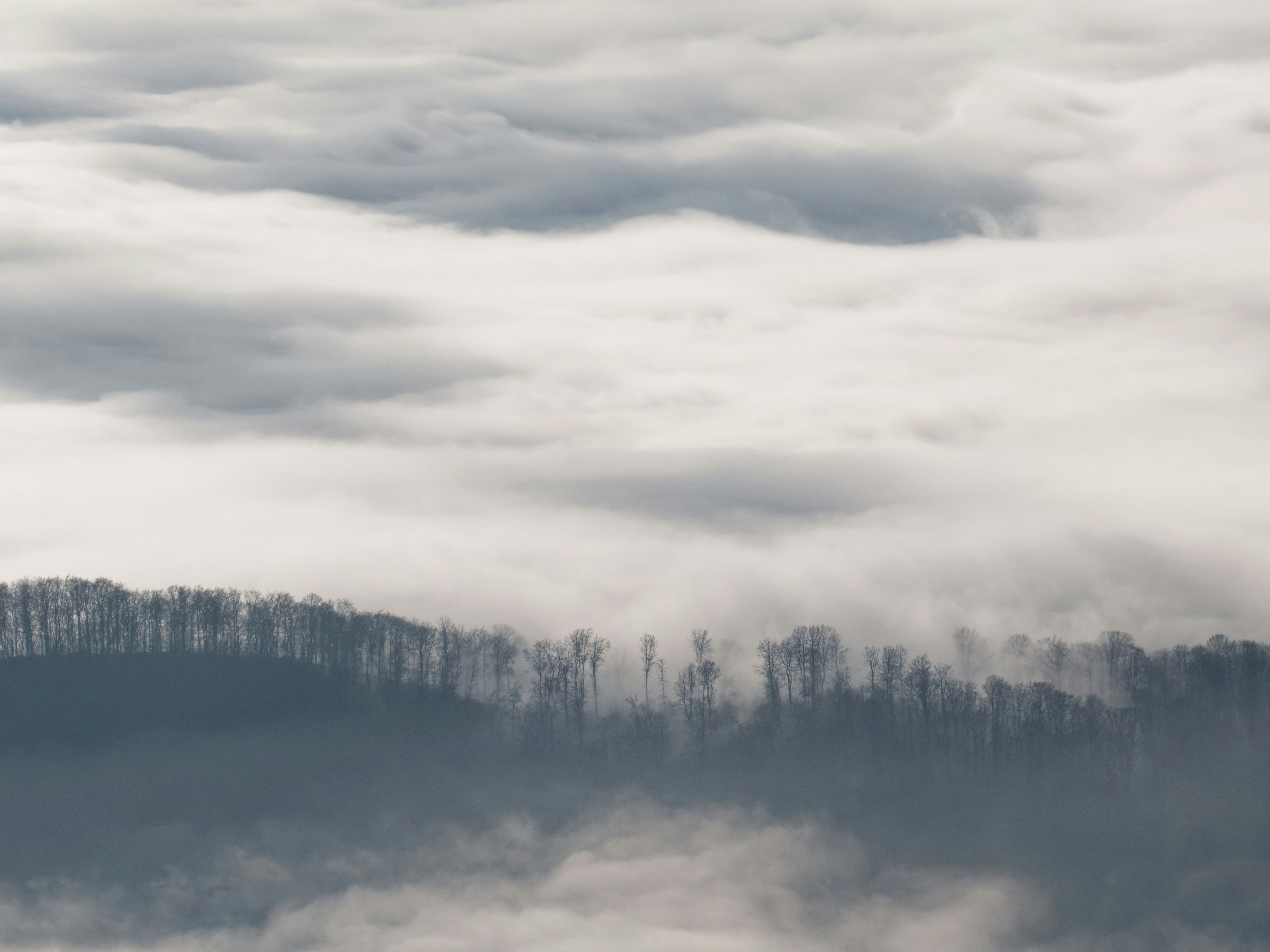 Photo by illes_cristi