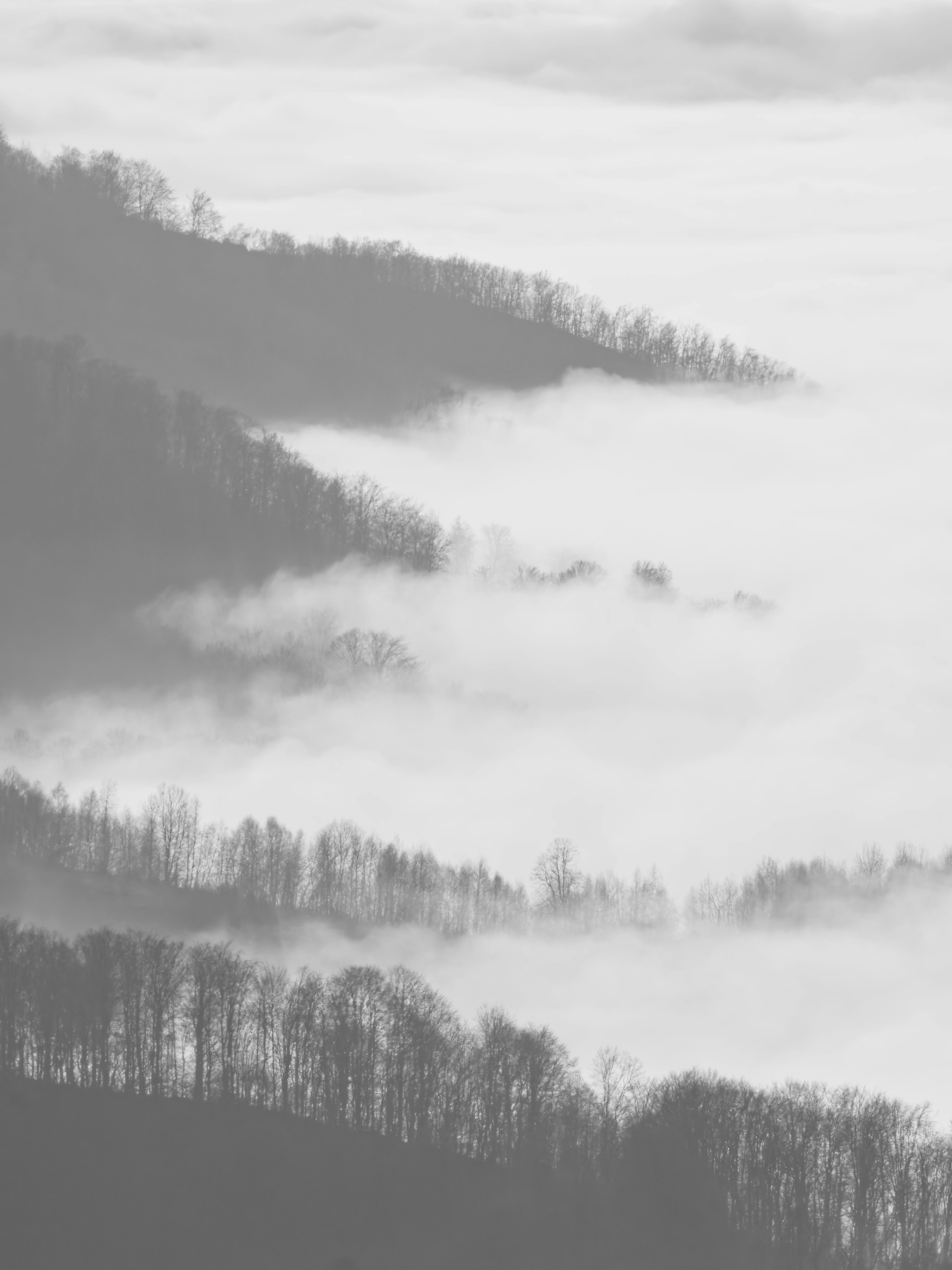 Photo by illes_cristi