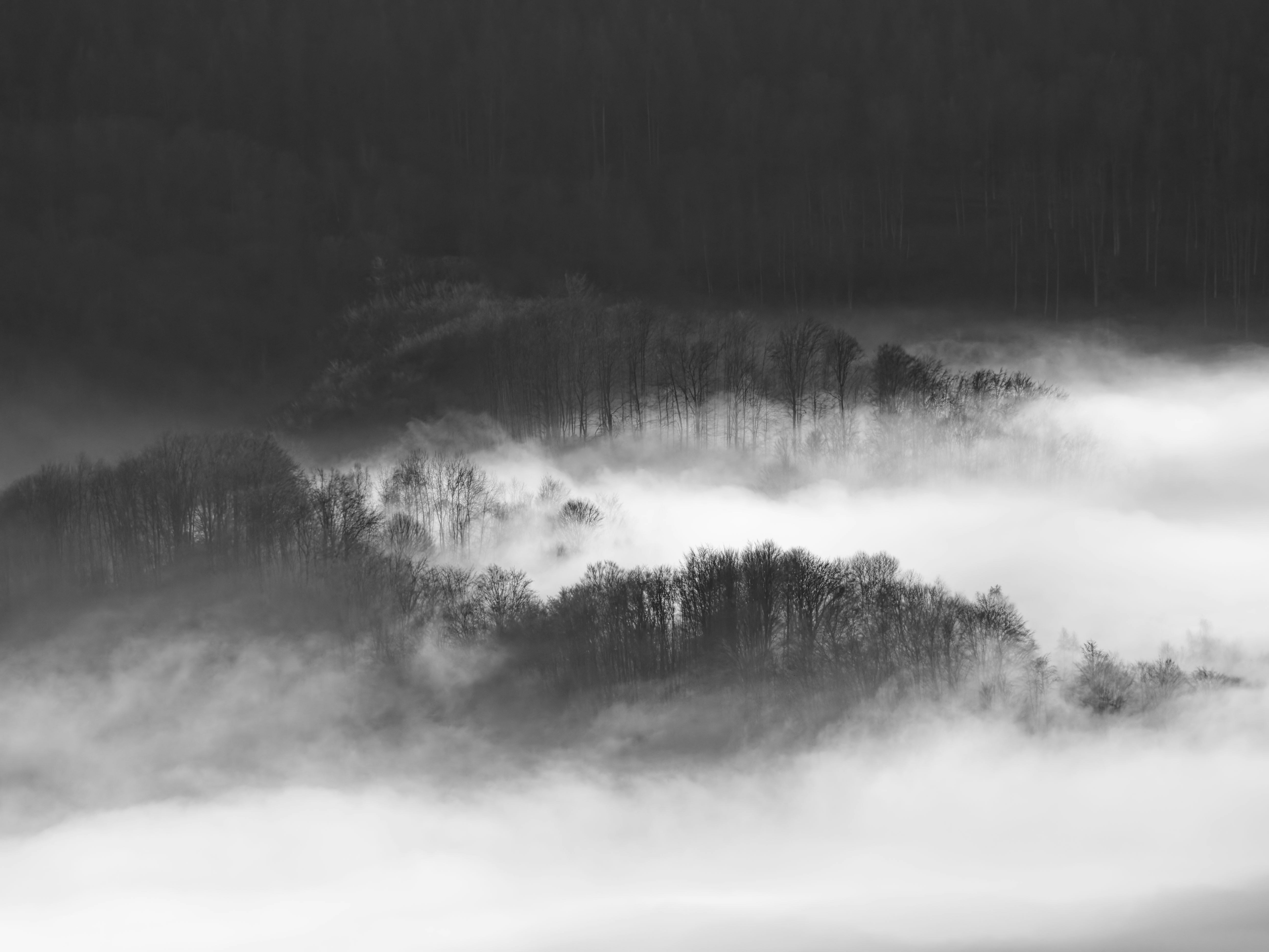 Photo by illes_cristi