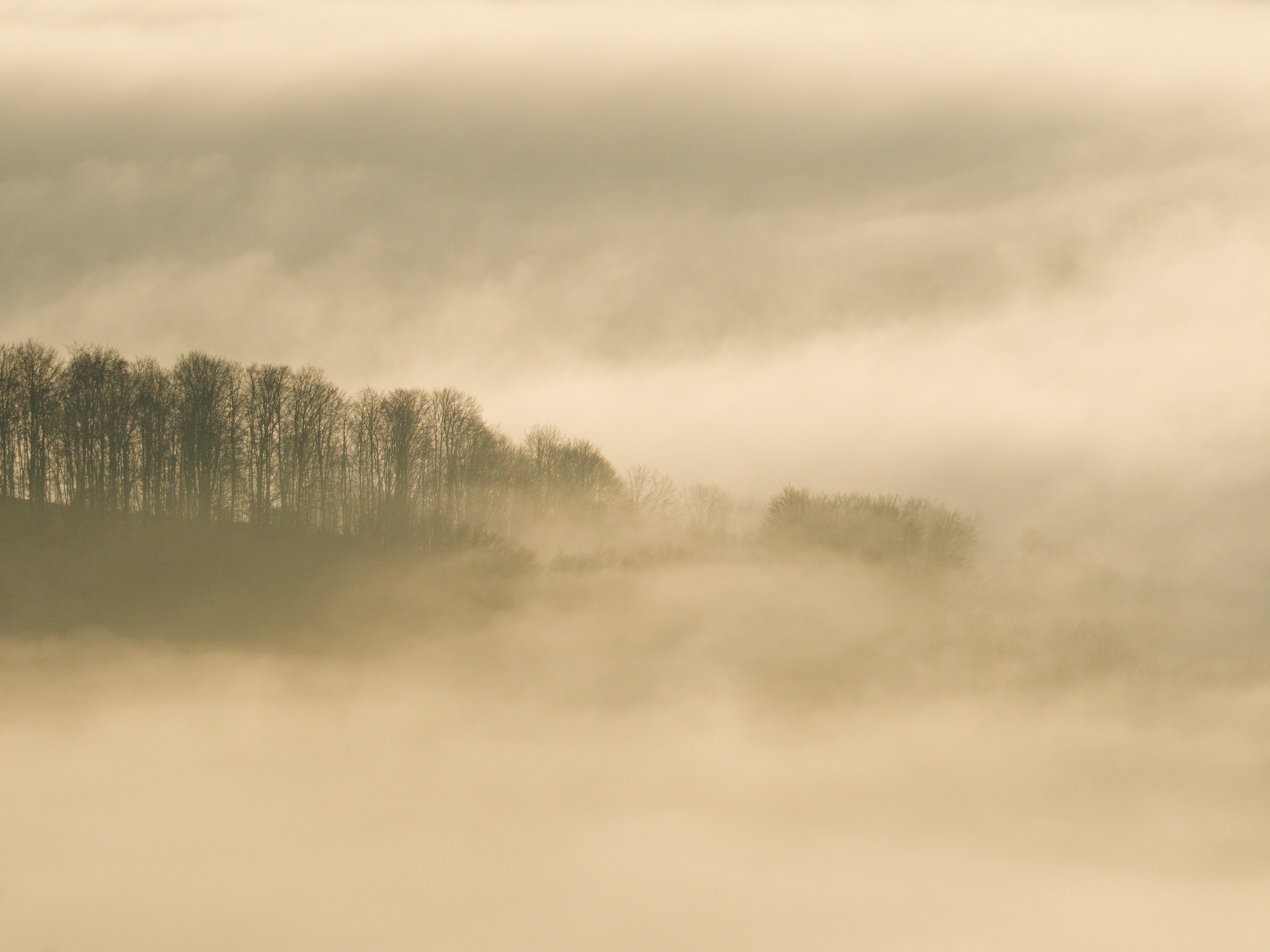 Photo by illes_cristi