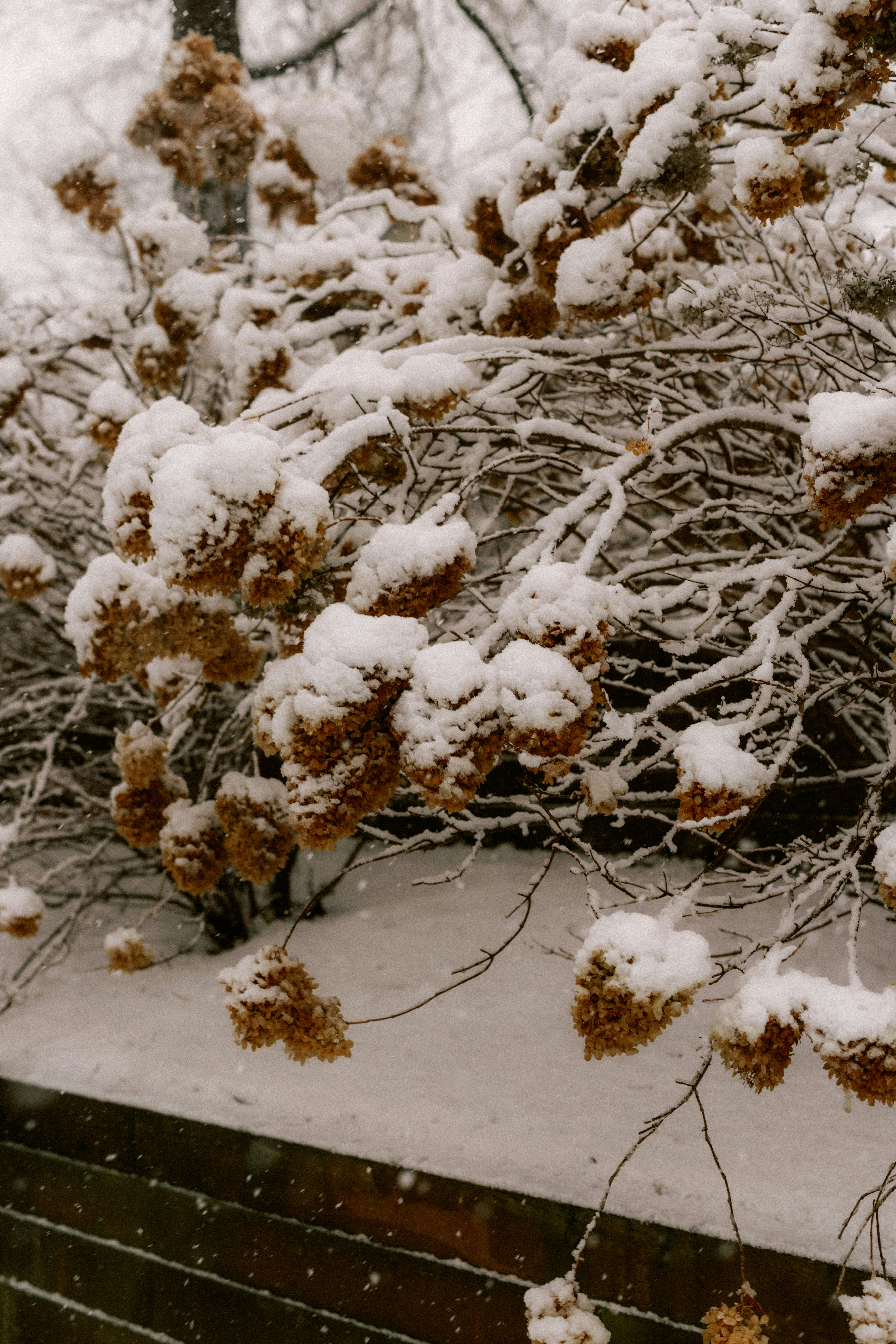 Photo by brookebalentine