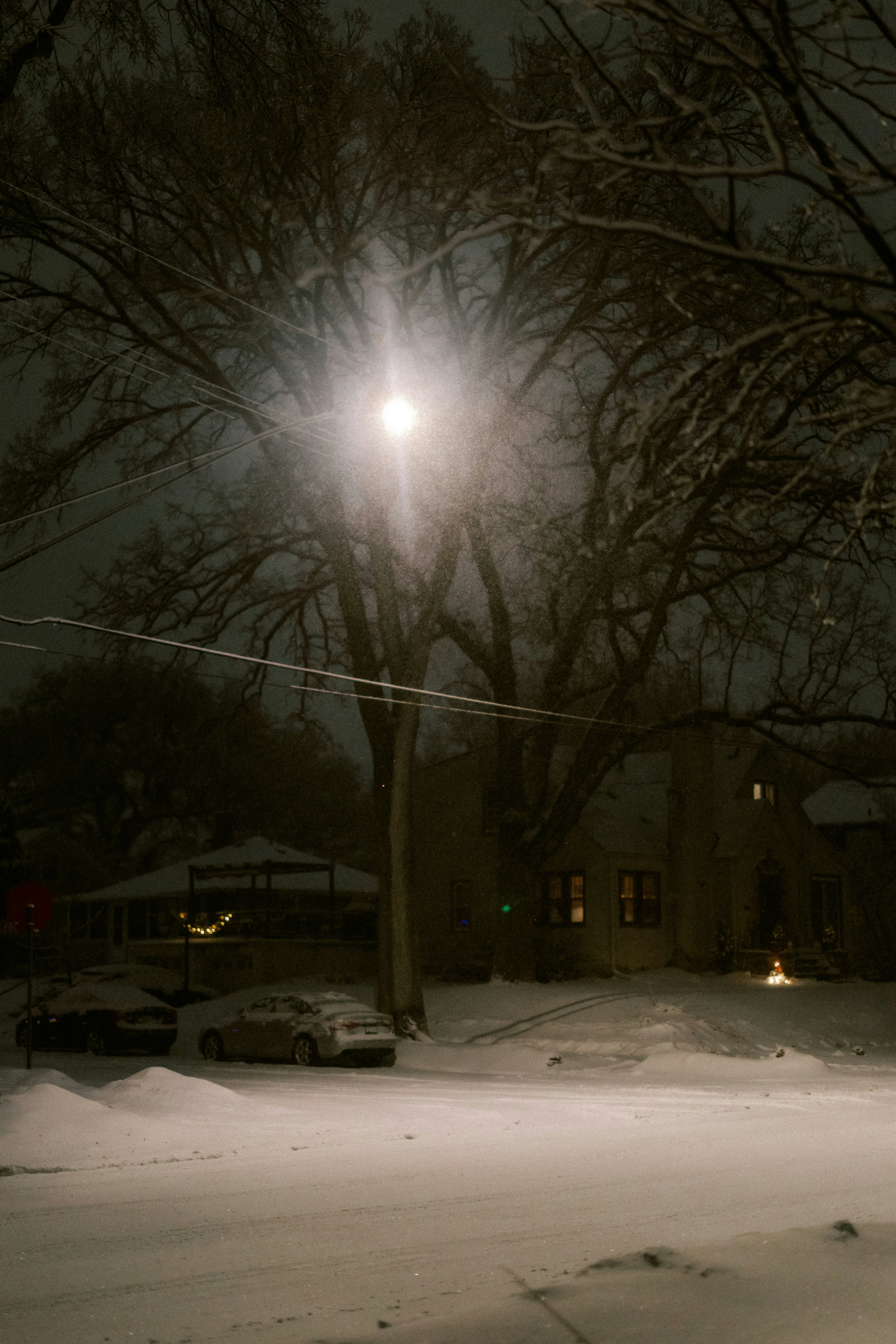 Photo by brookebalentine