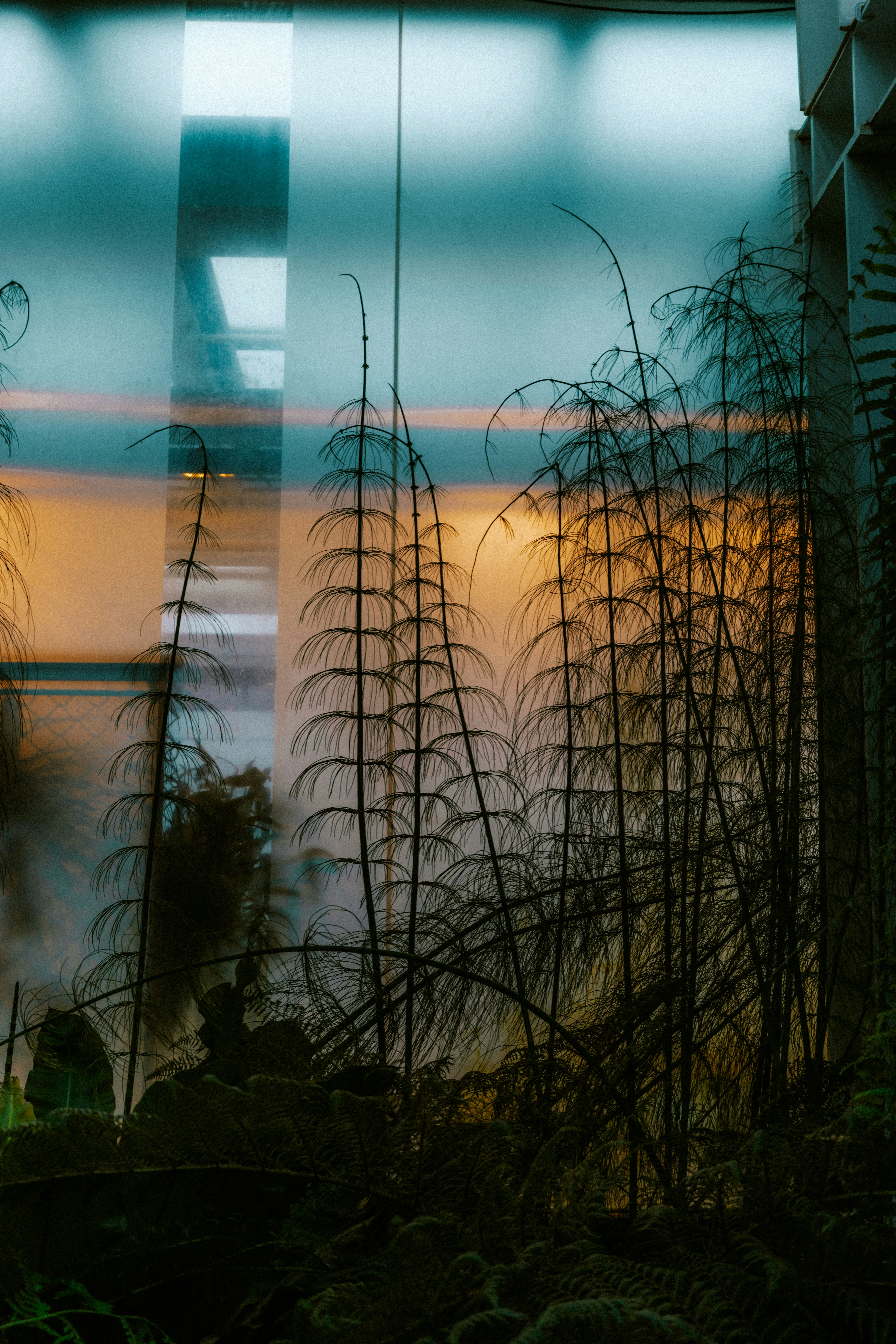 Photo by brookebalentine