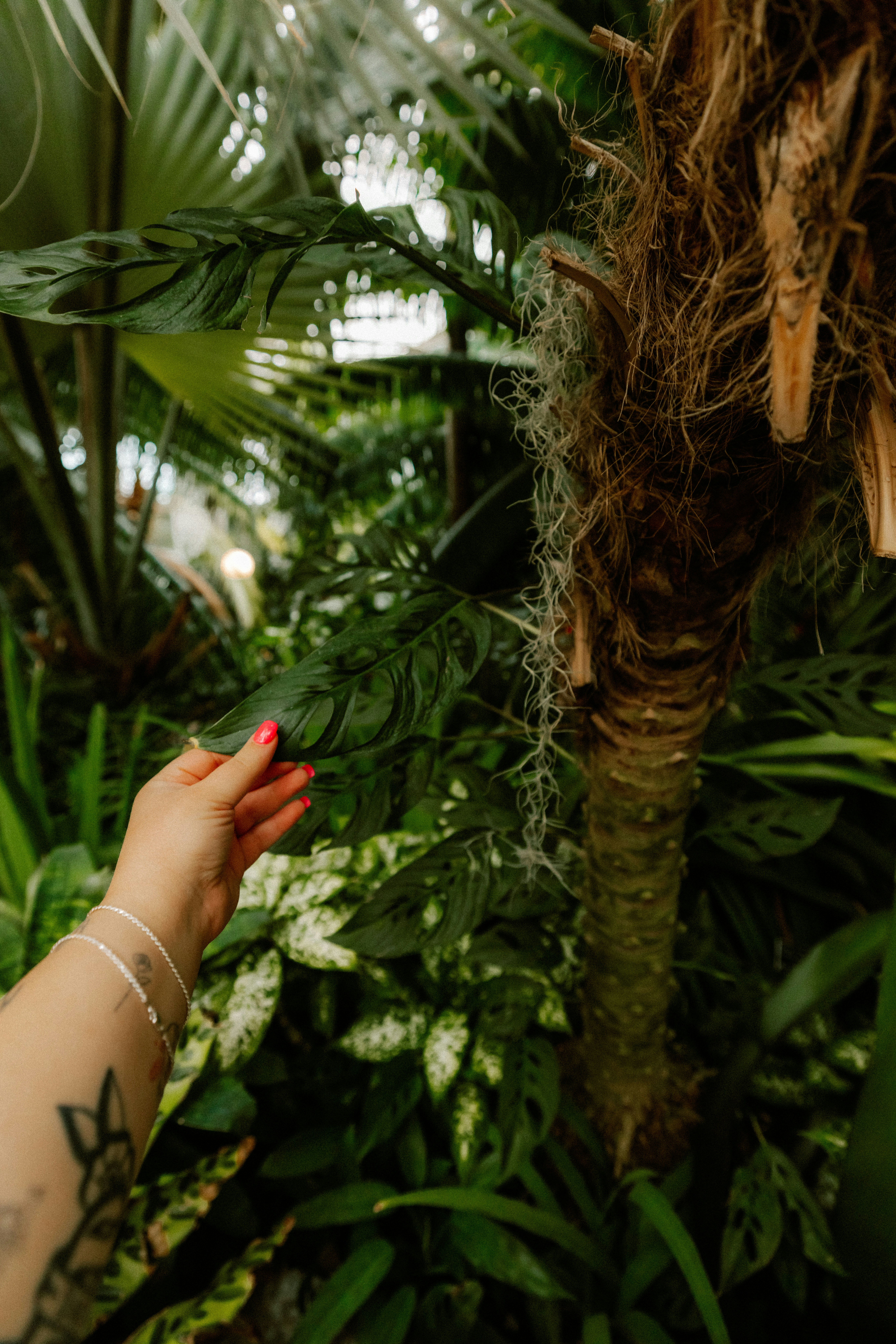 Photo by brookebalentine