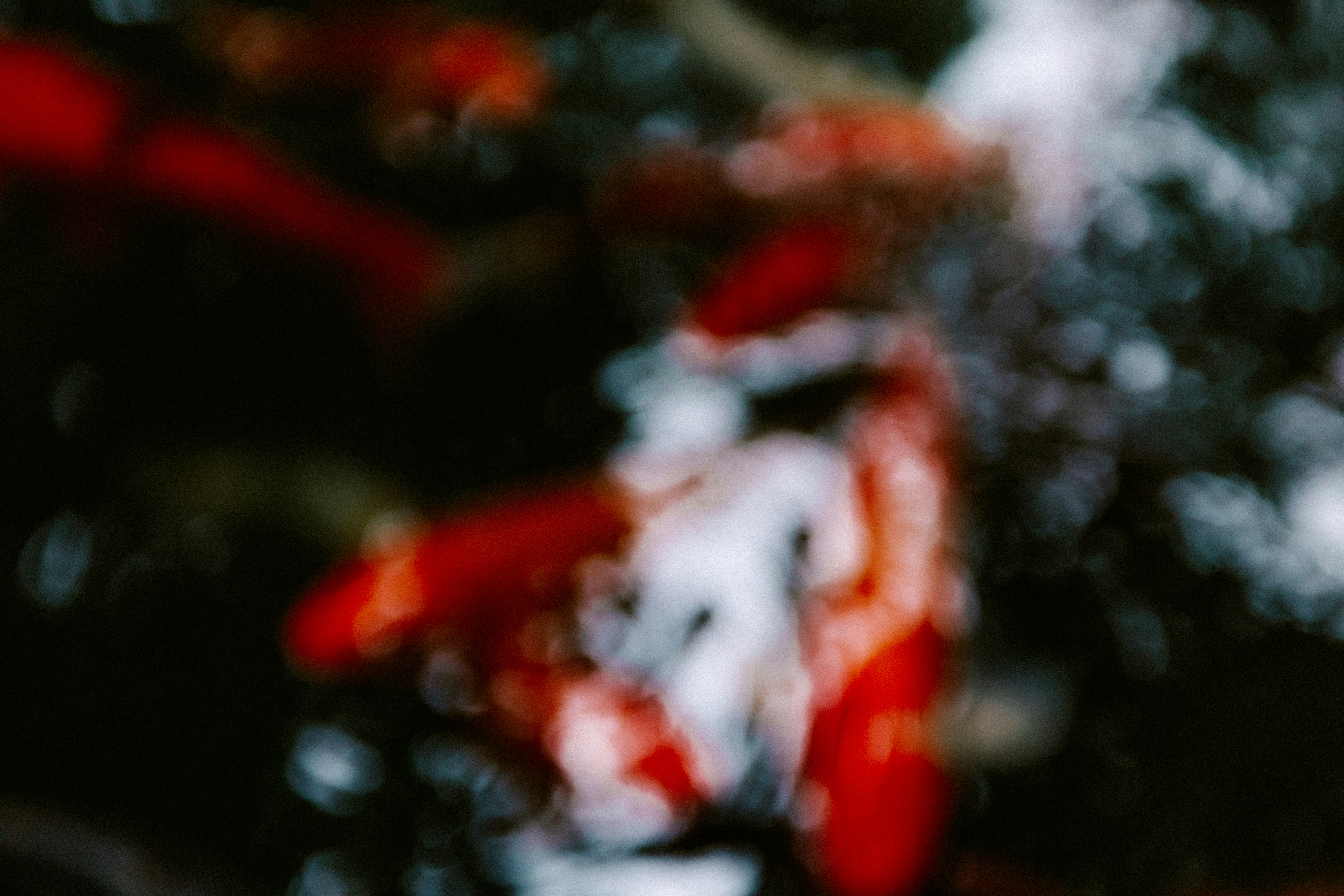 Photo by brookebalentine