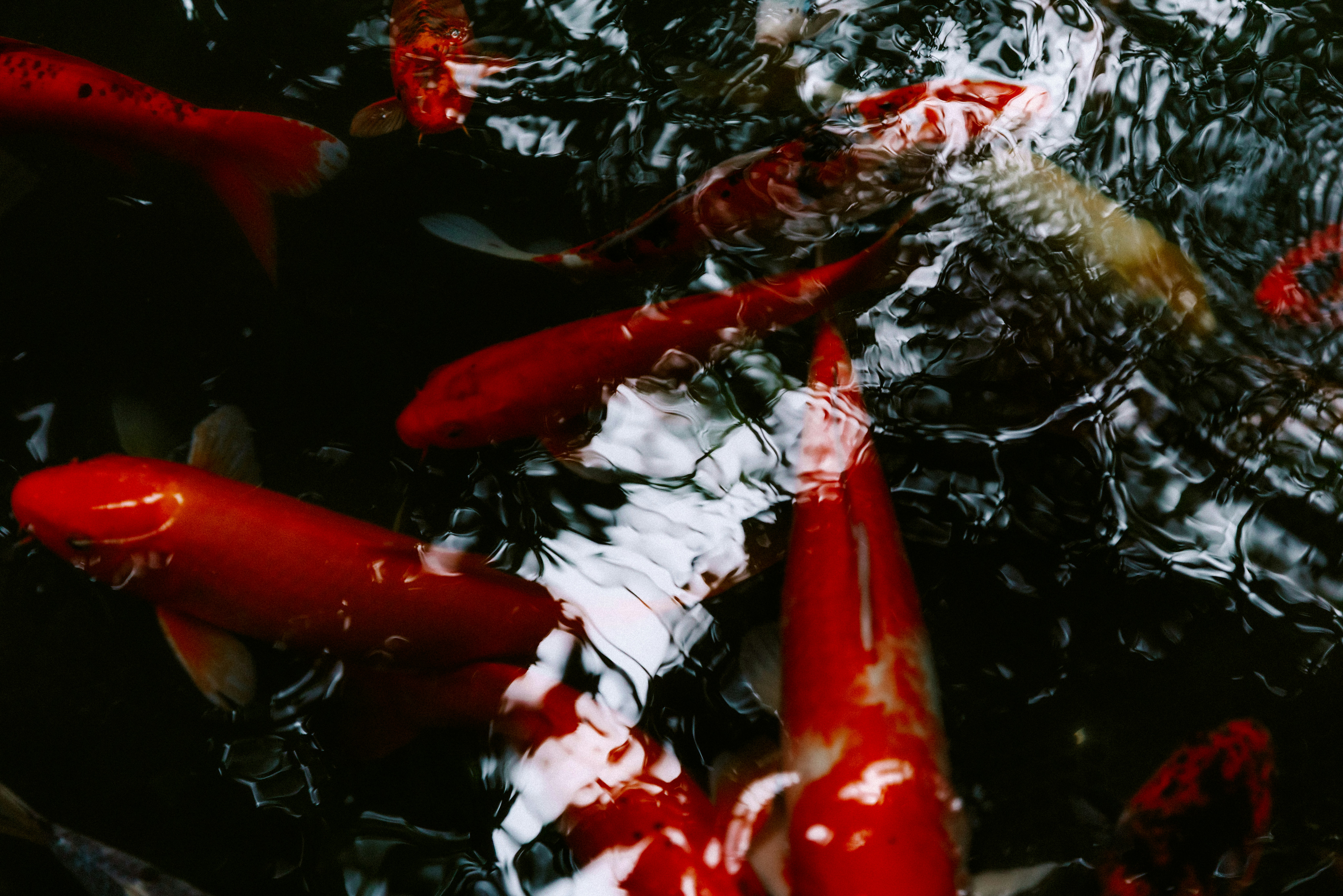 Photo by brookebalentine