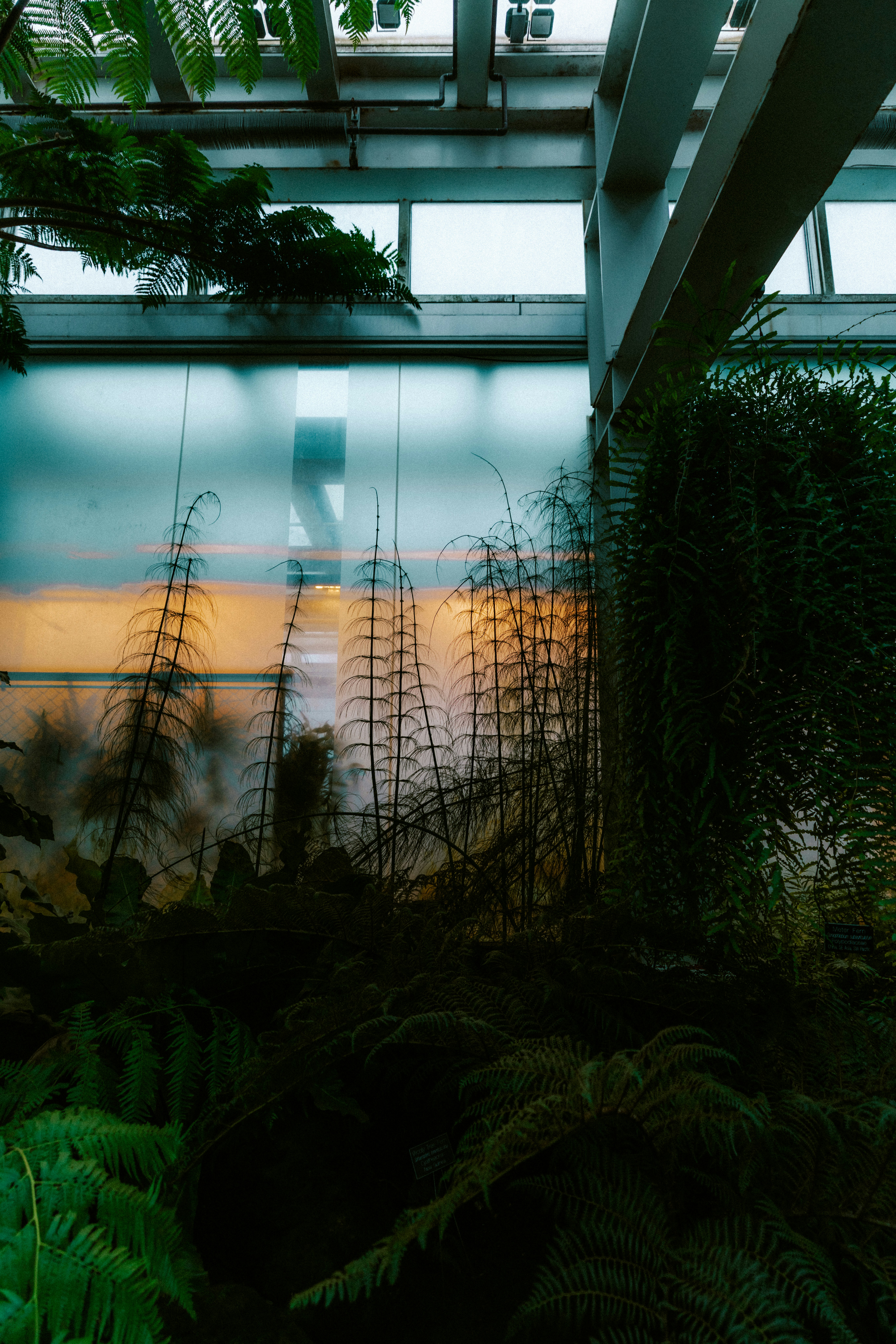 Photo by brookebalentine