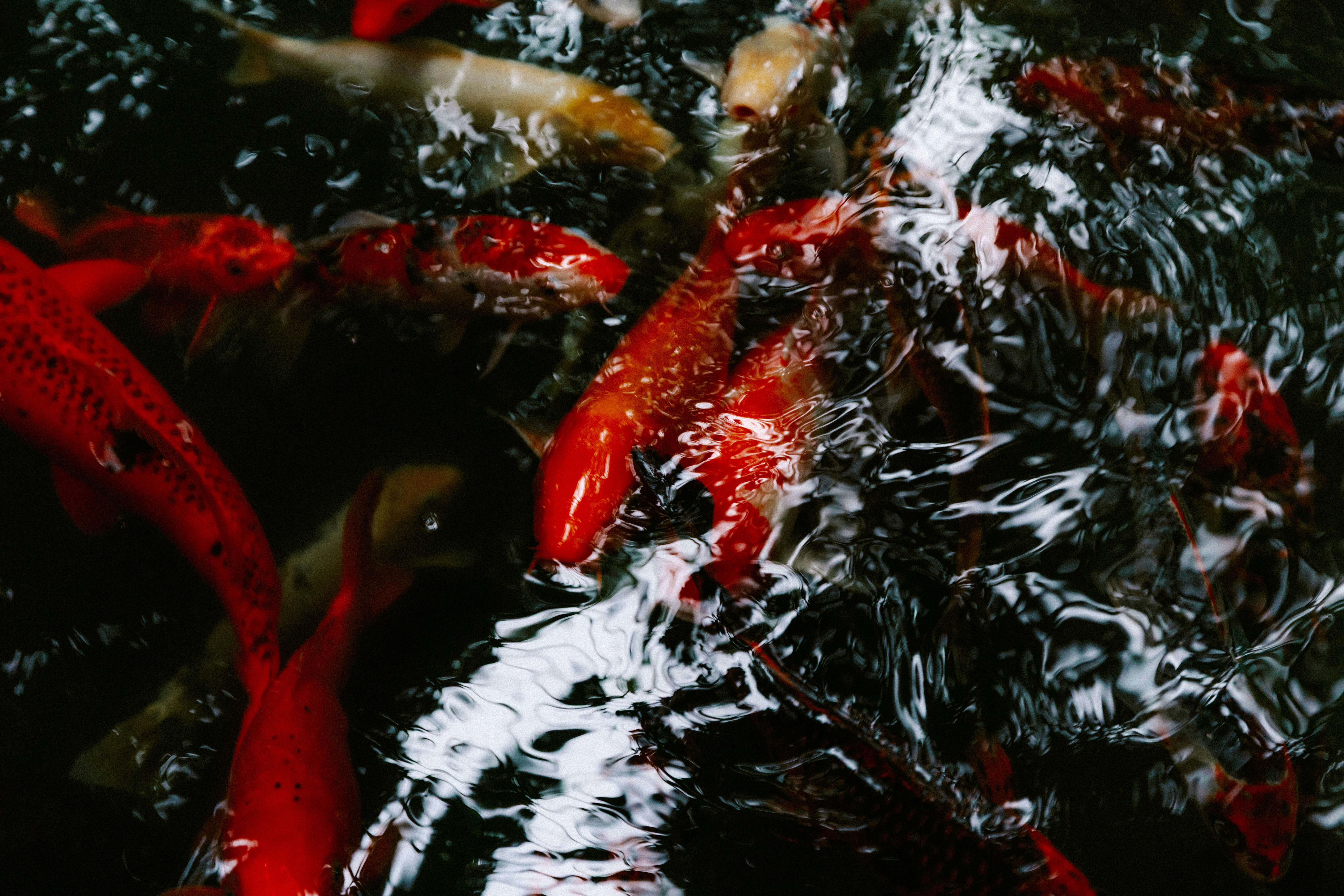 Photo by brookebalentine