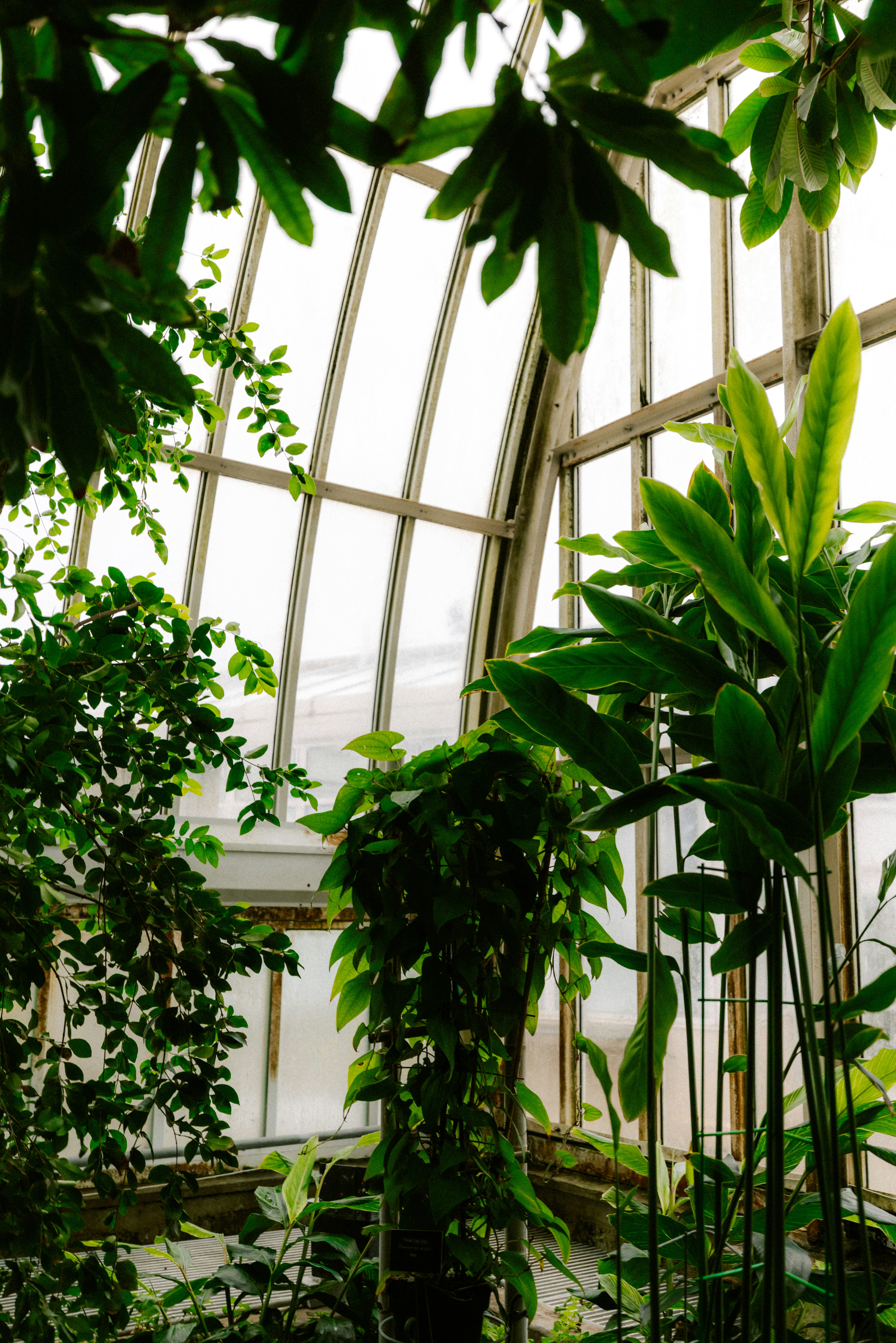 Photo by brookebalentine