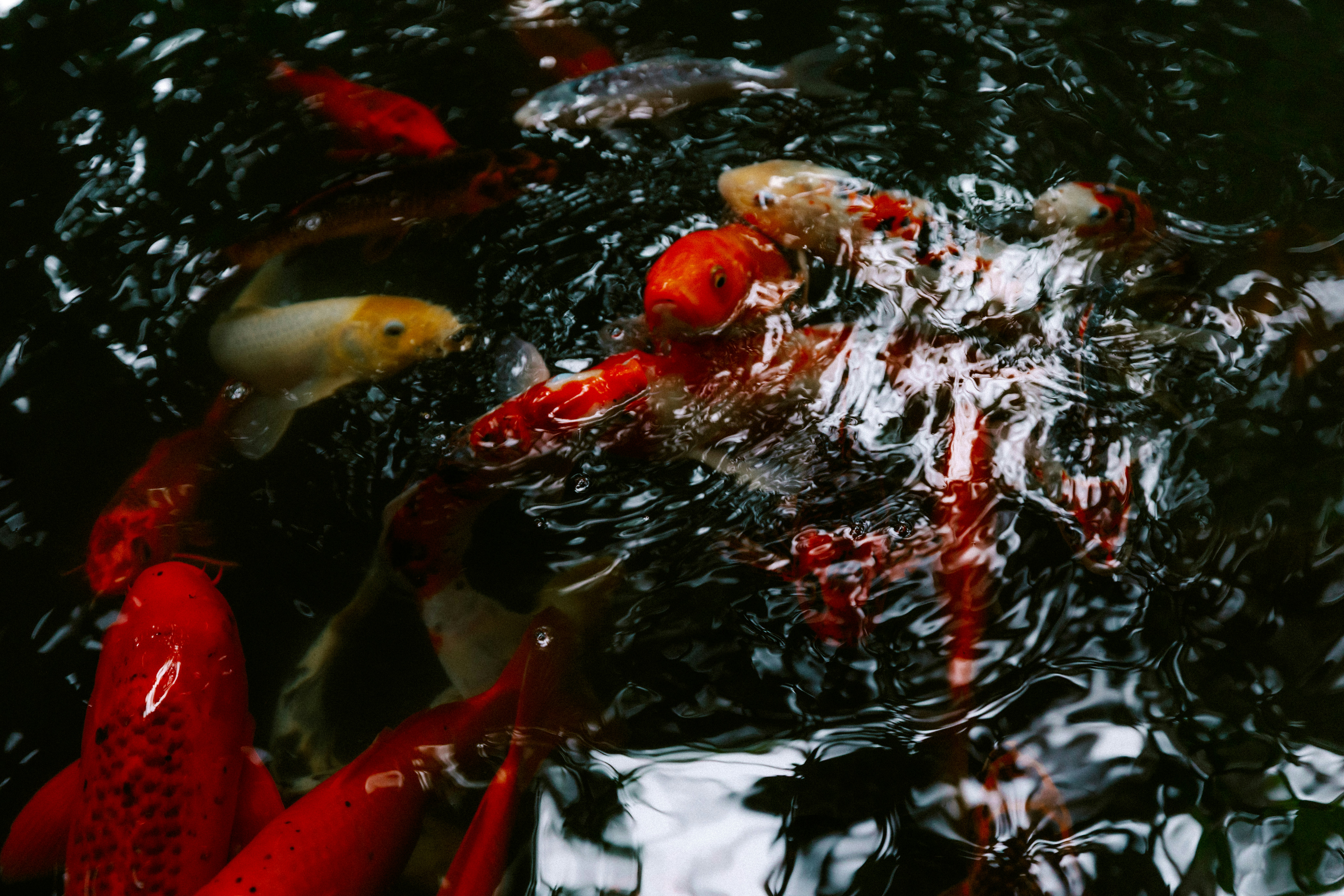 Photo by brookebalentine