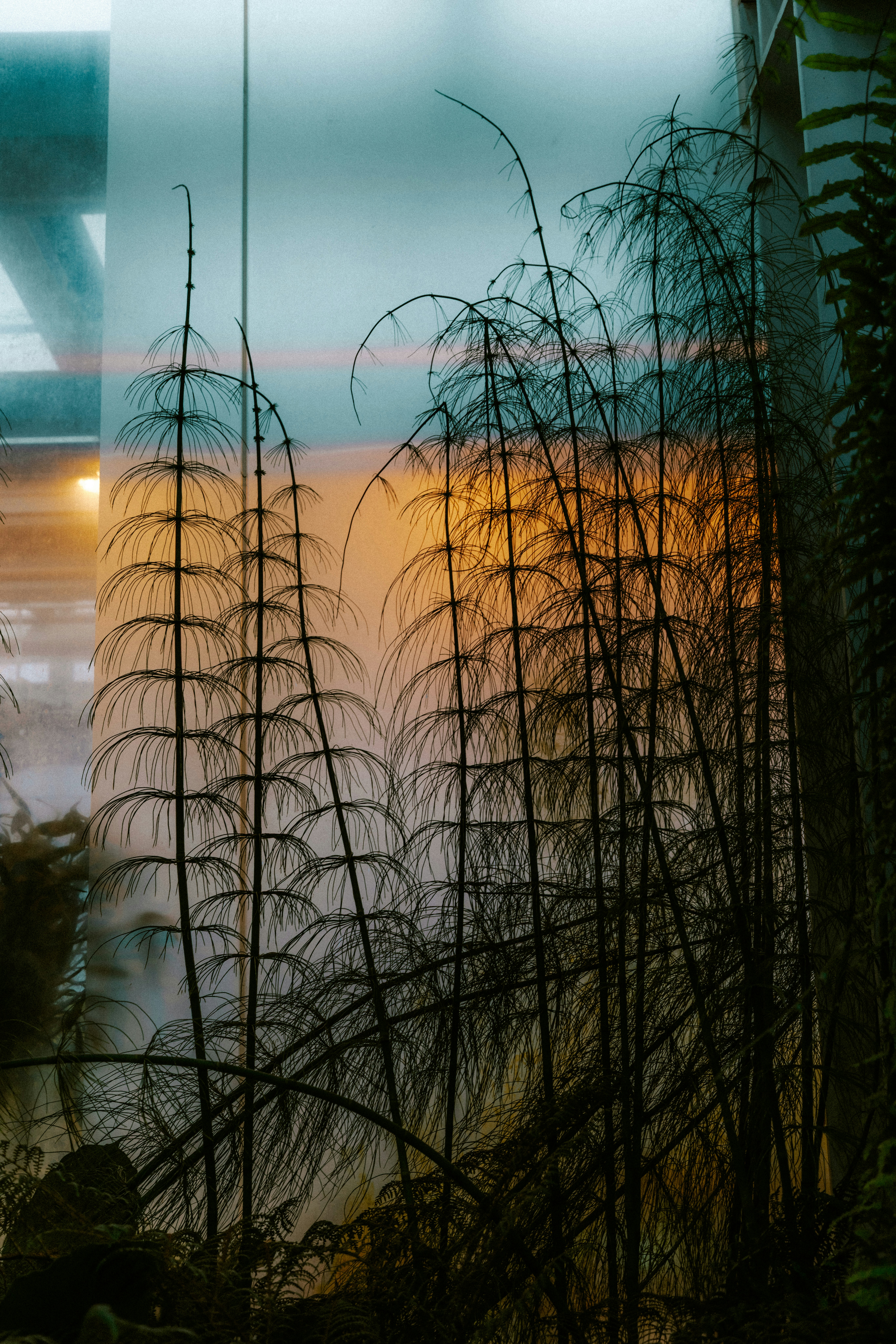 Photo by brookebalentine