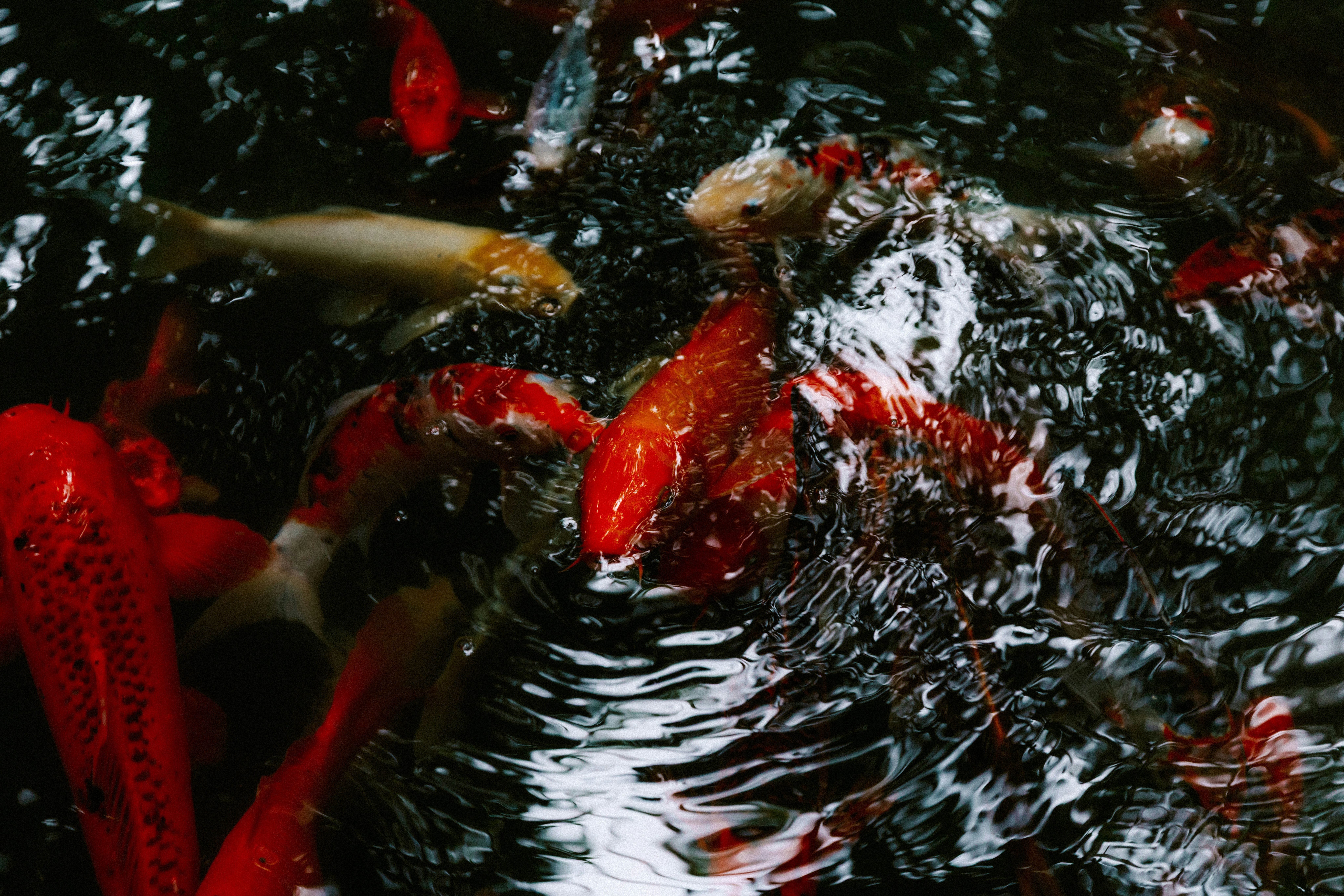 Photo by brookebalentine