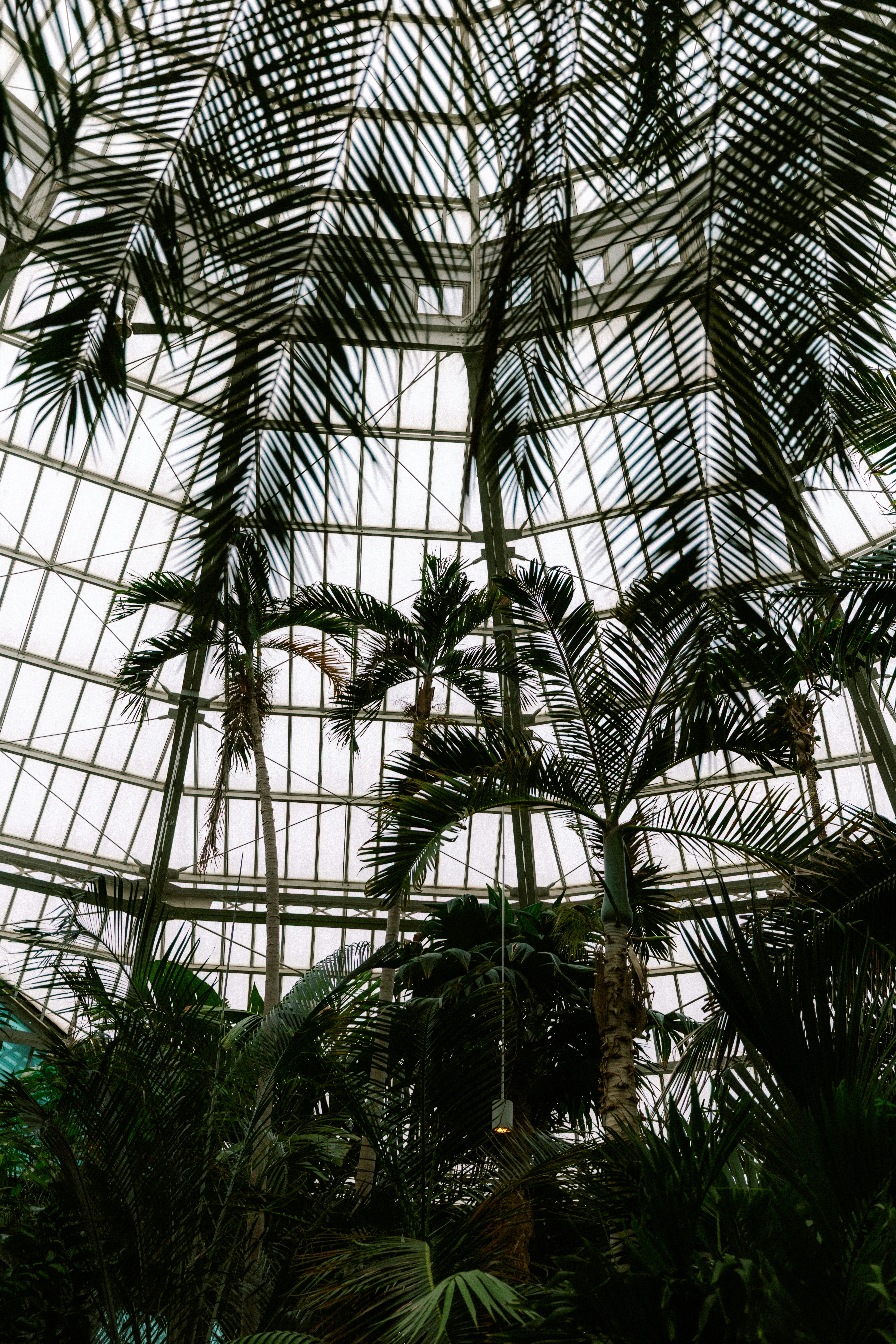 Photo by brookebalentine