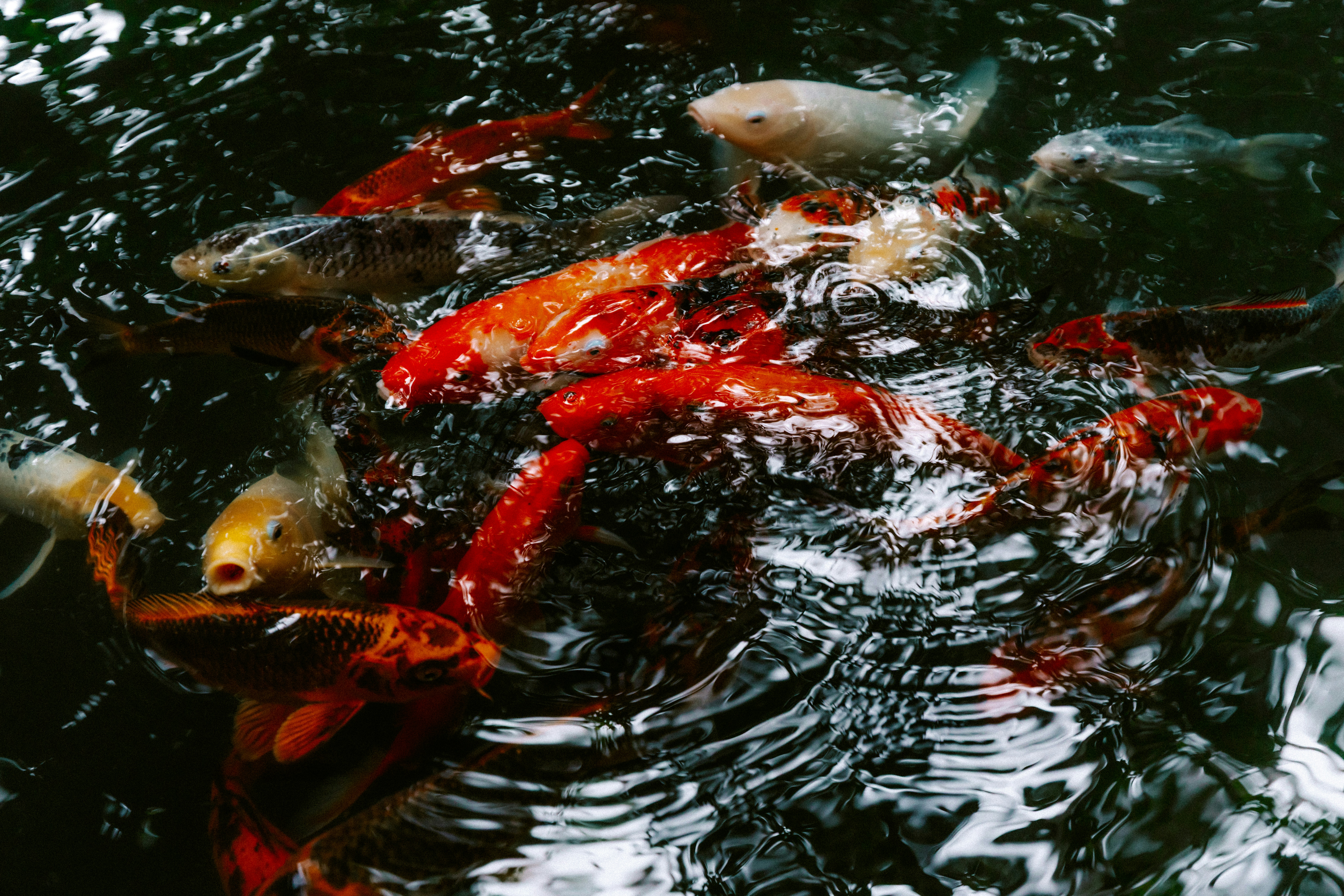 Photo by brookebalentine