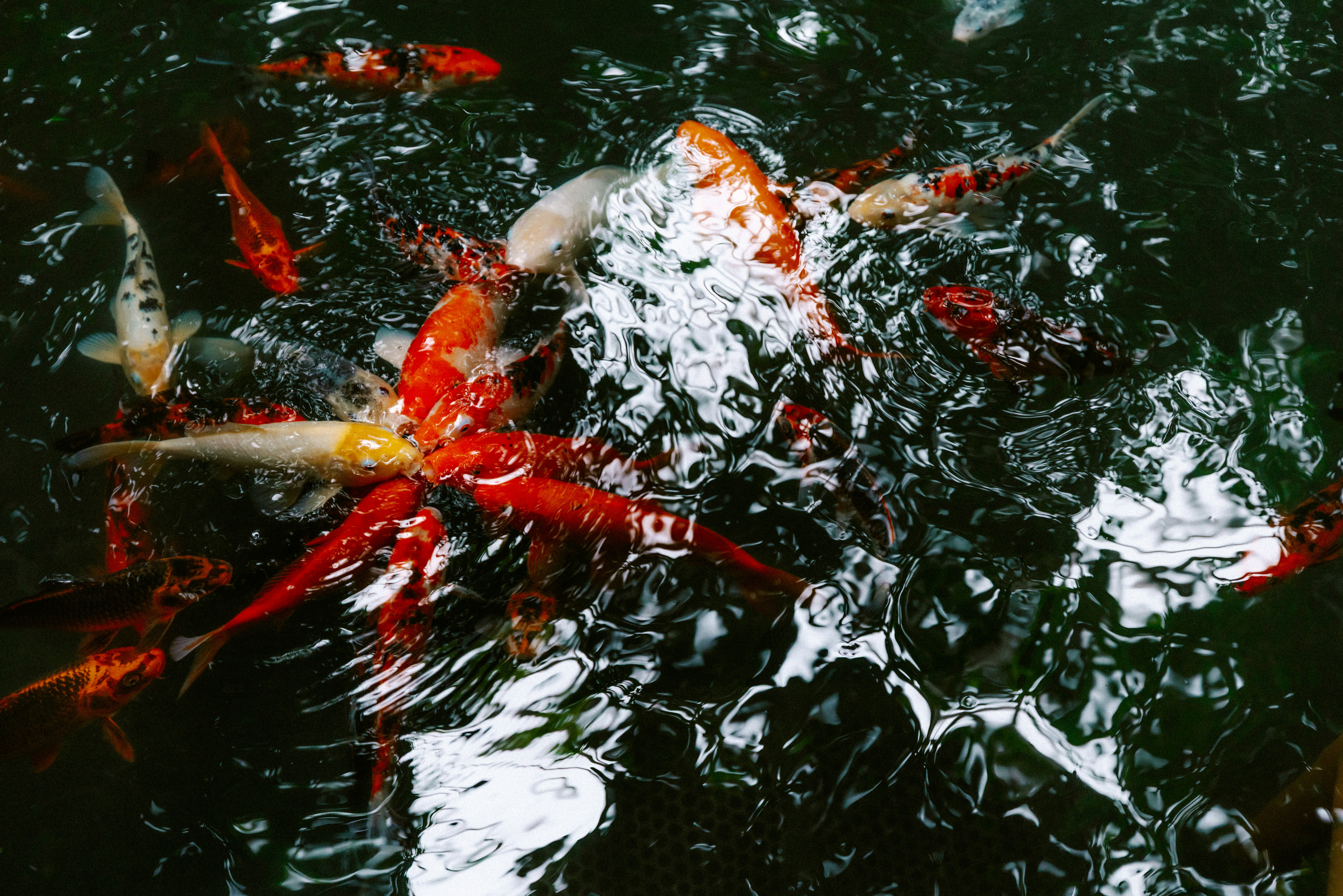 Photo by brookebalentine