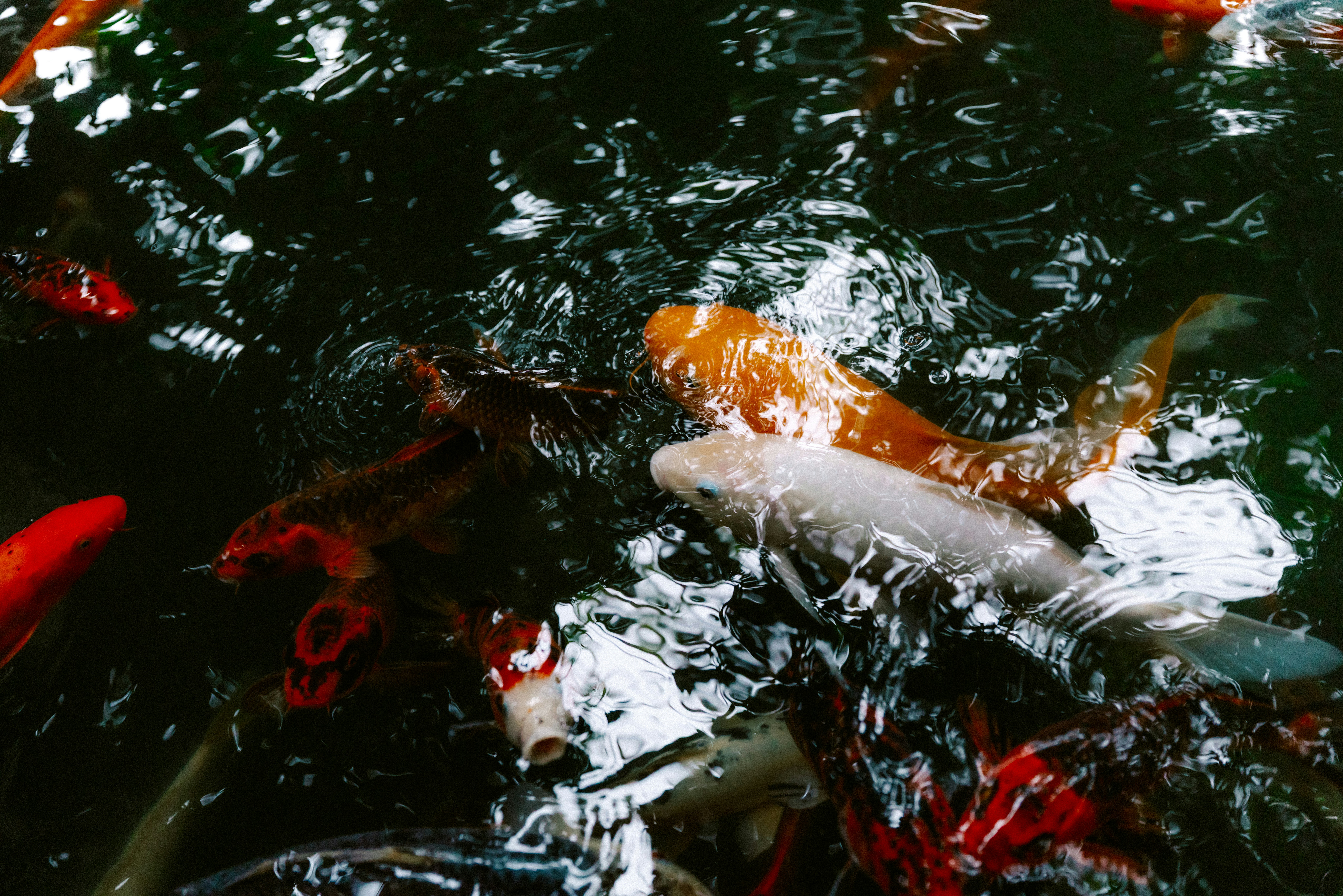 Photo by brookebalentine