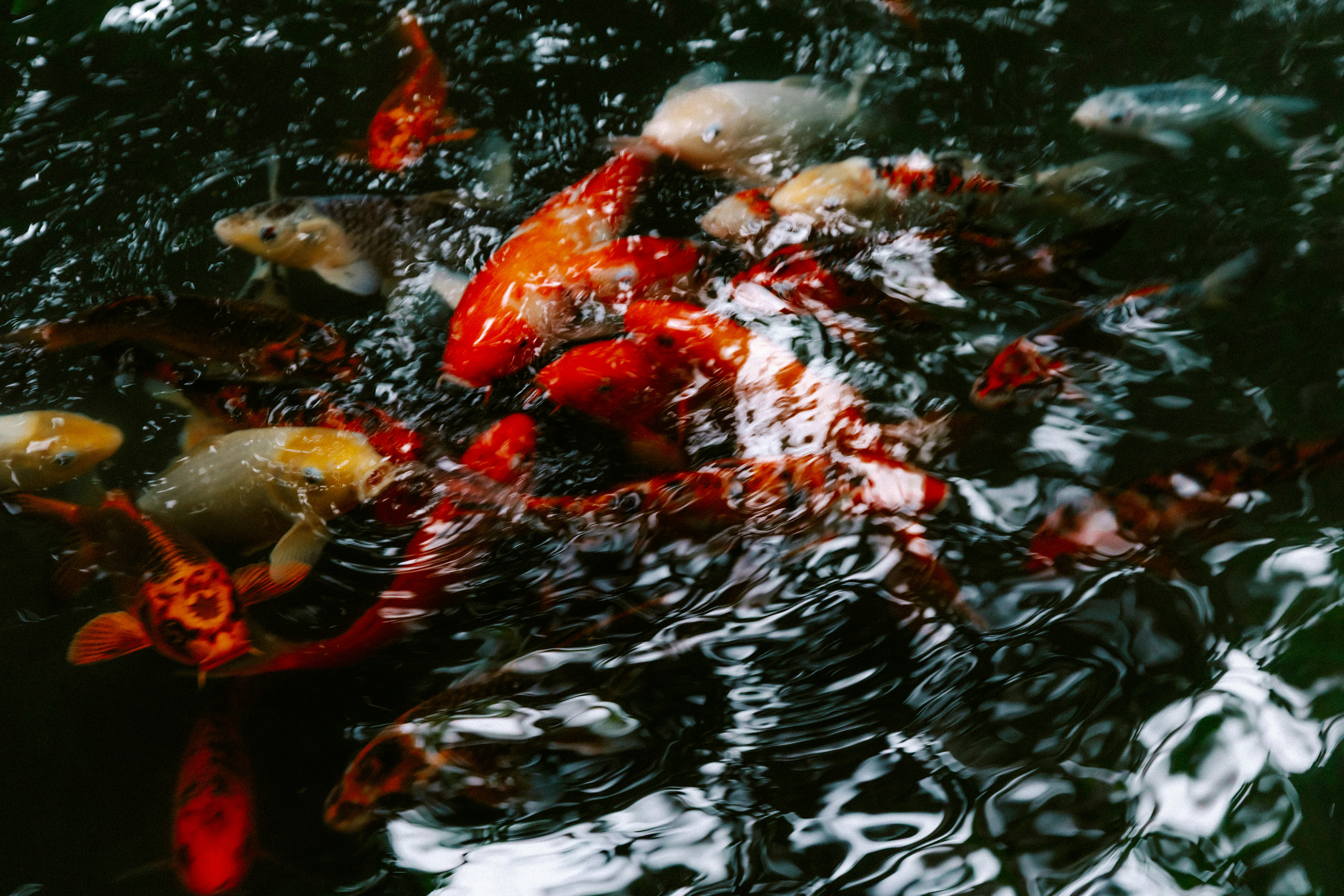 Photo by brookebalentine