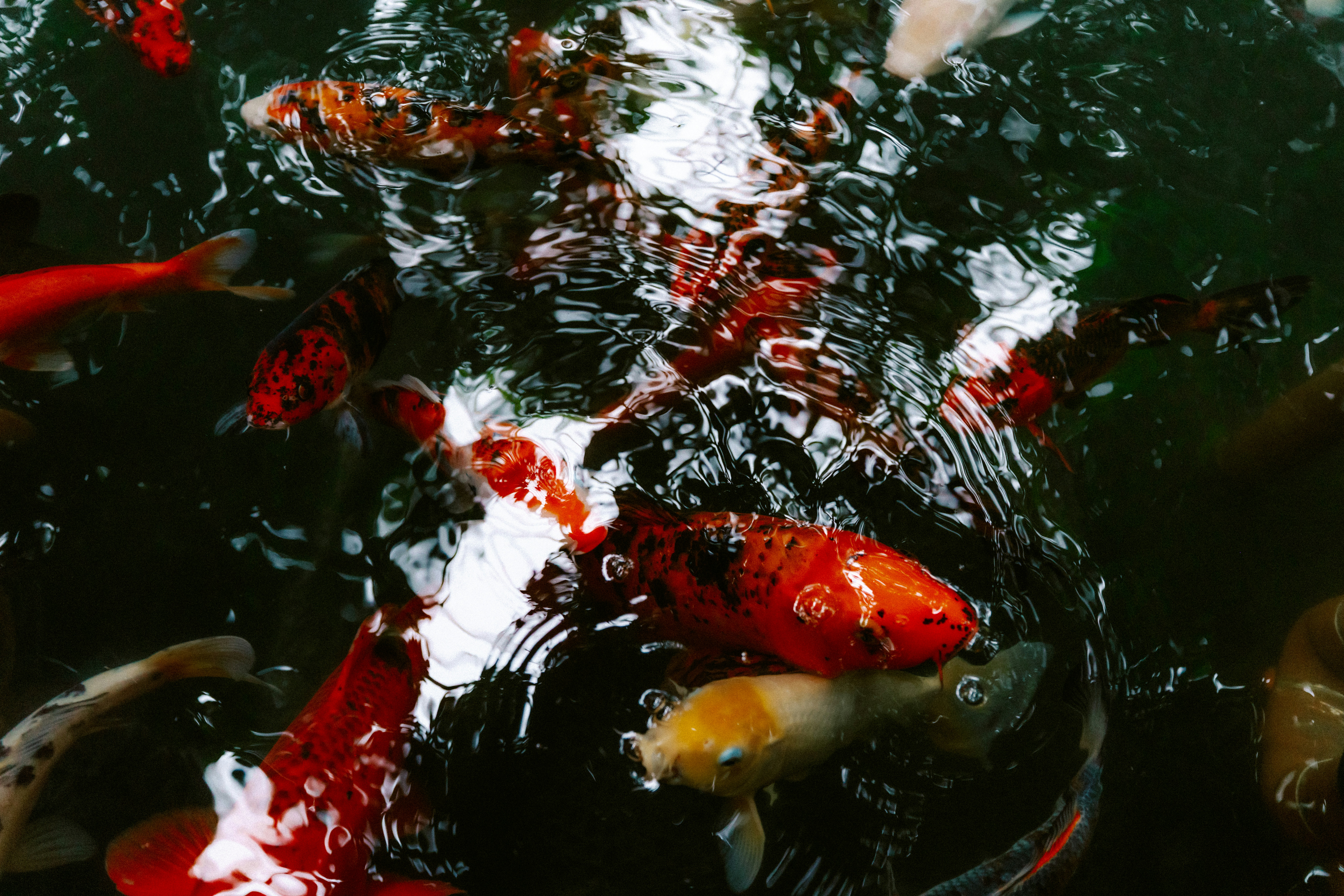 Photo by brookebalentine