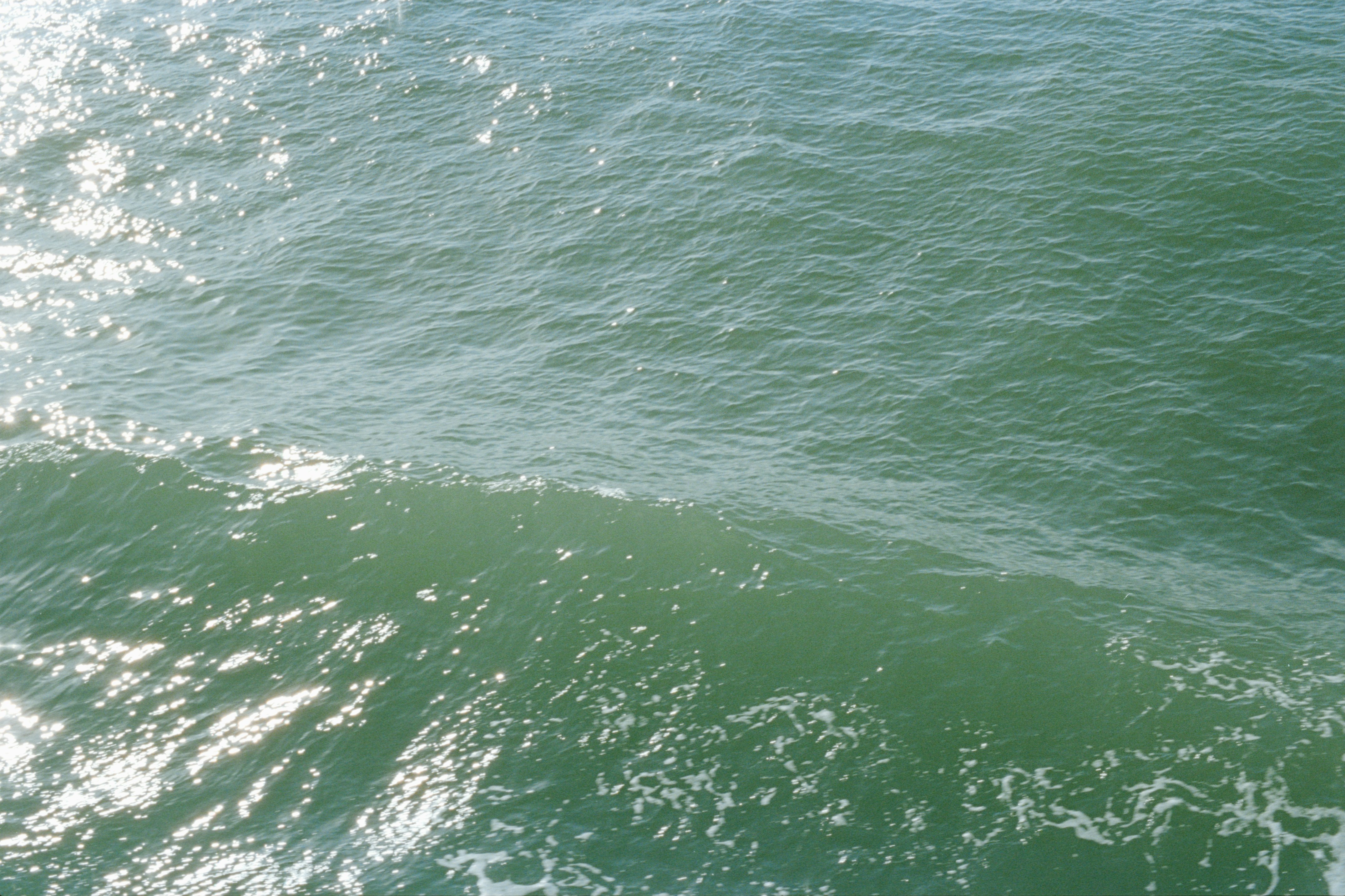 Photo by zhenyao_photo