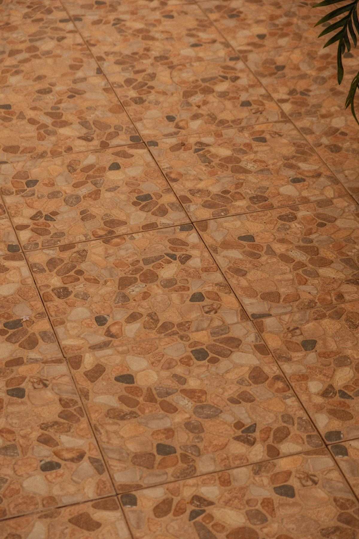 Cream Limestone 60×40