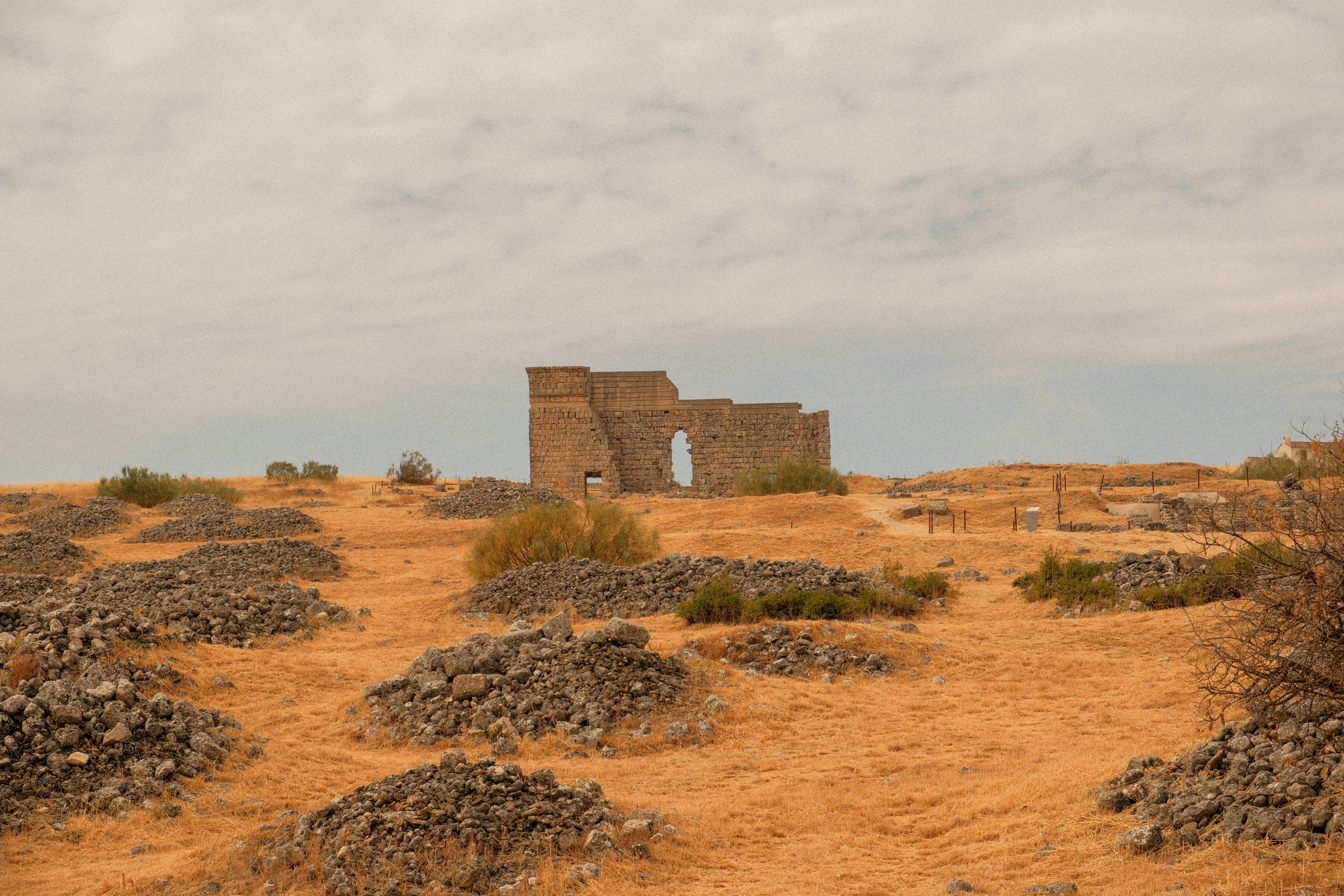 Photo by alexispresa