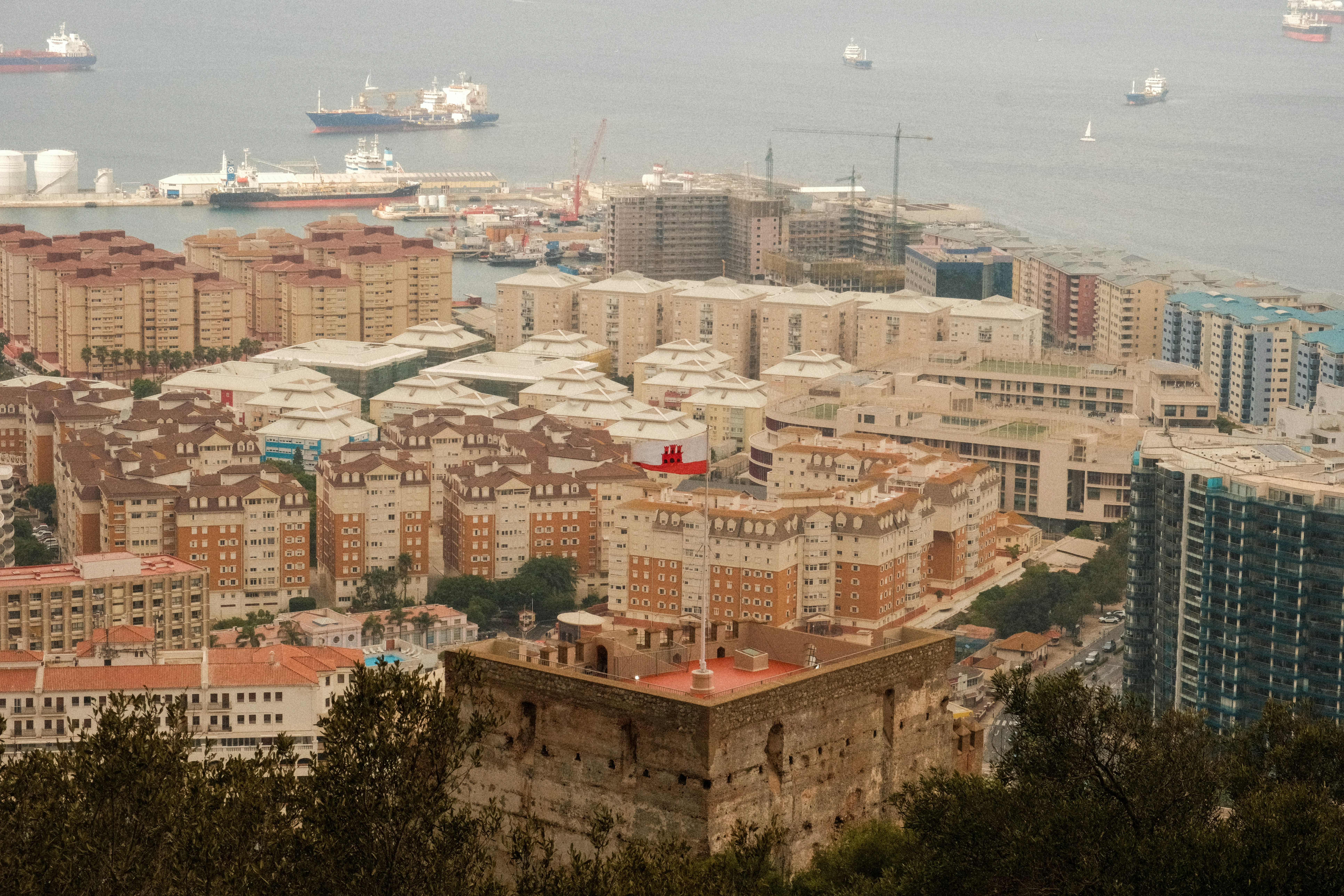 City buildings overlooking a busy harbor with ships.