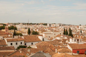 Faro