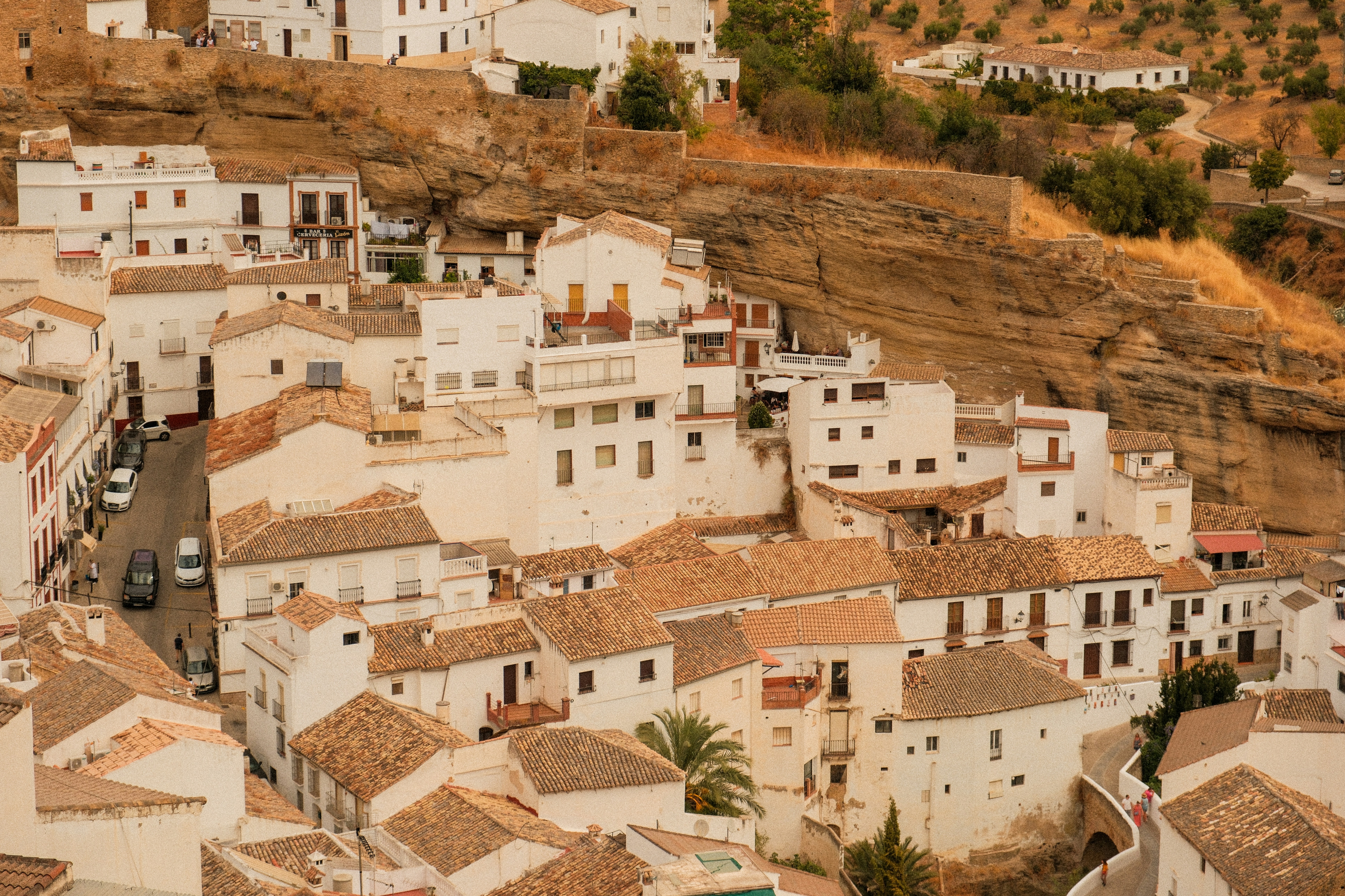 El huerto que sanaba: plantas, saberes y curanderas del Paso Blanco