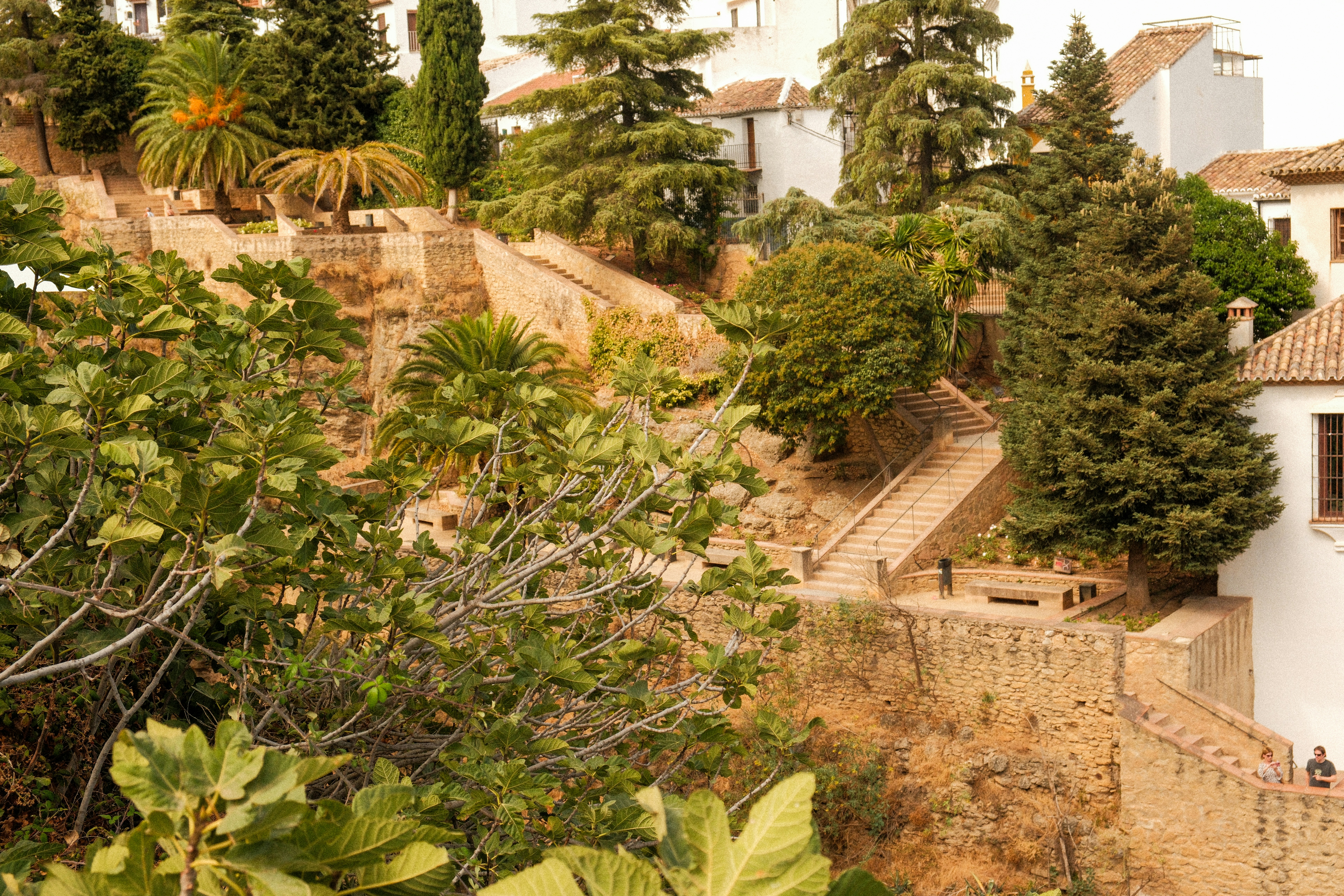 Jardines Adelfa Soto