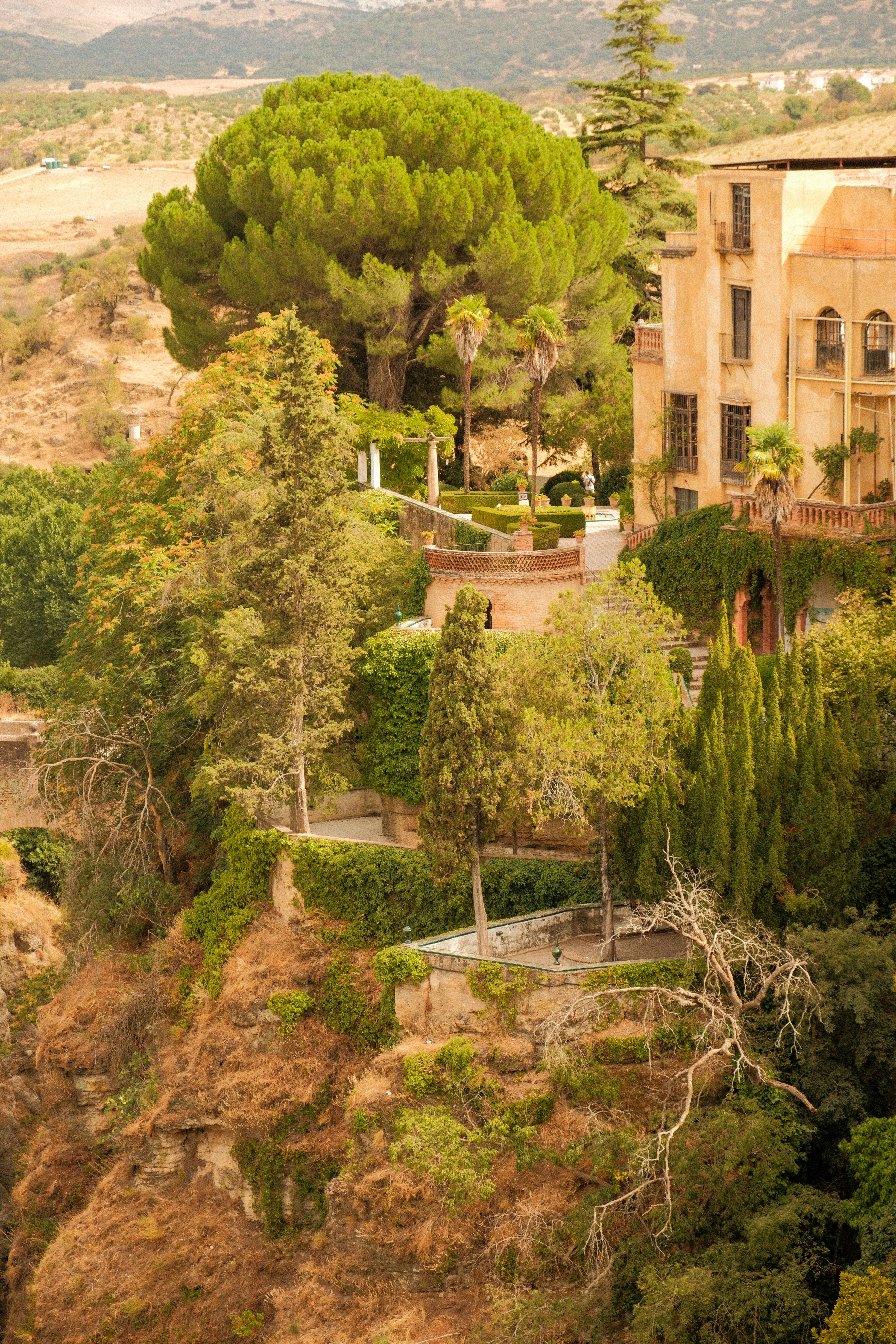 Photo by alexispresa