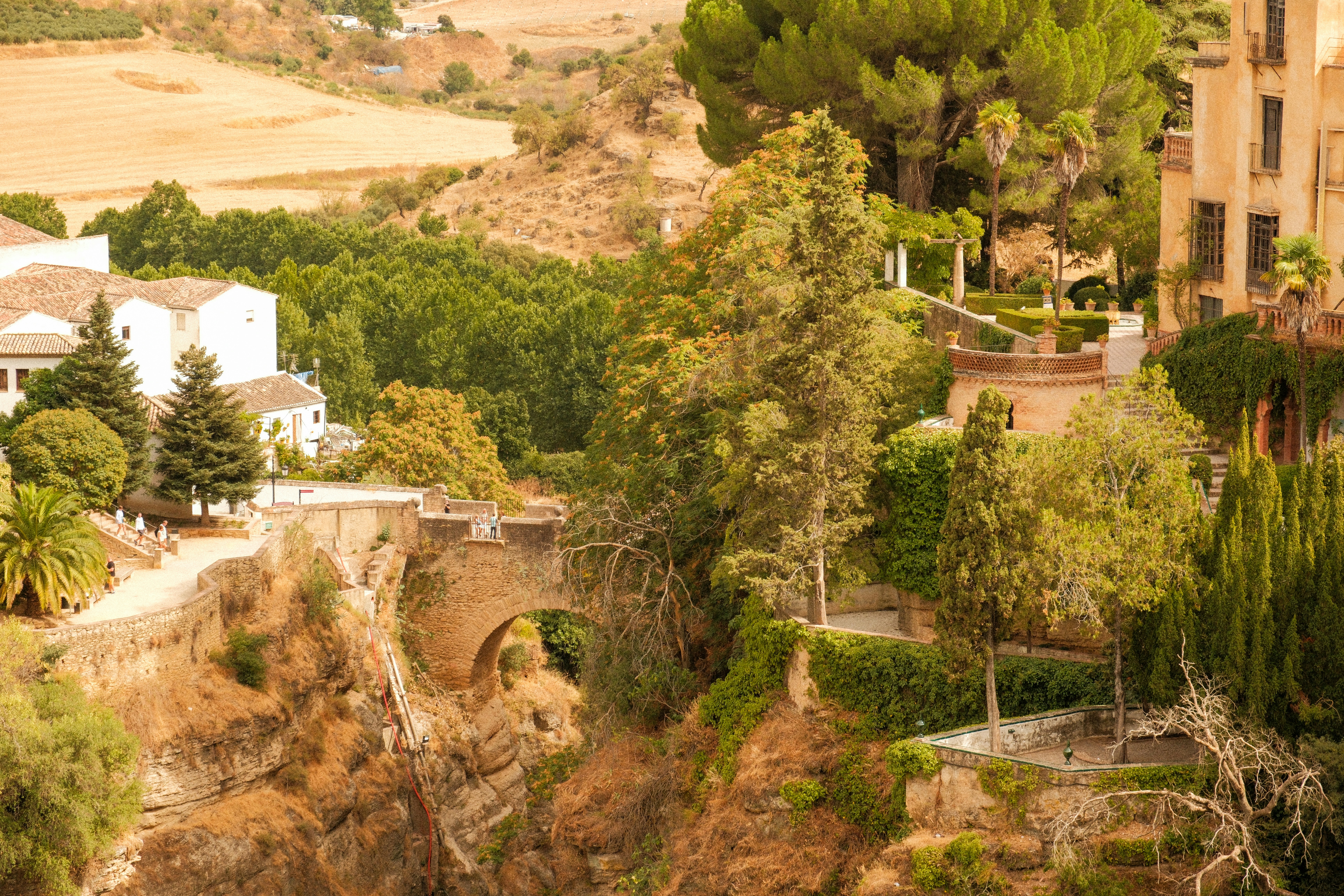 Photo by alexispresa