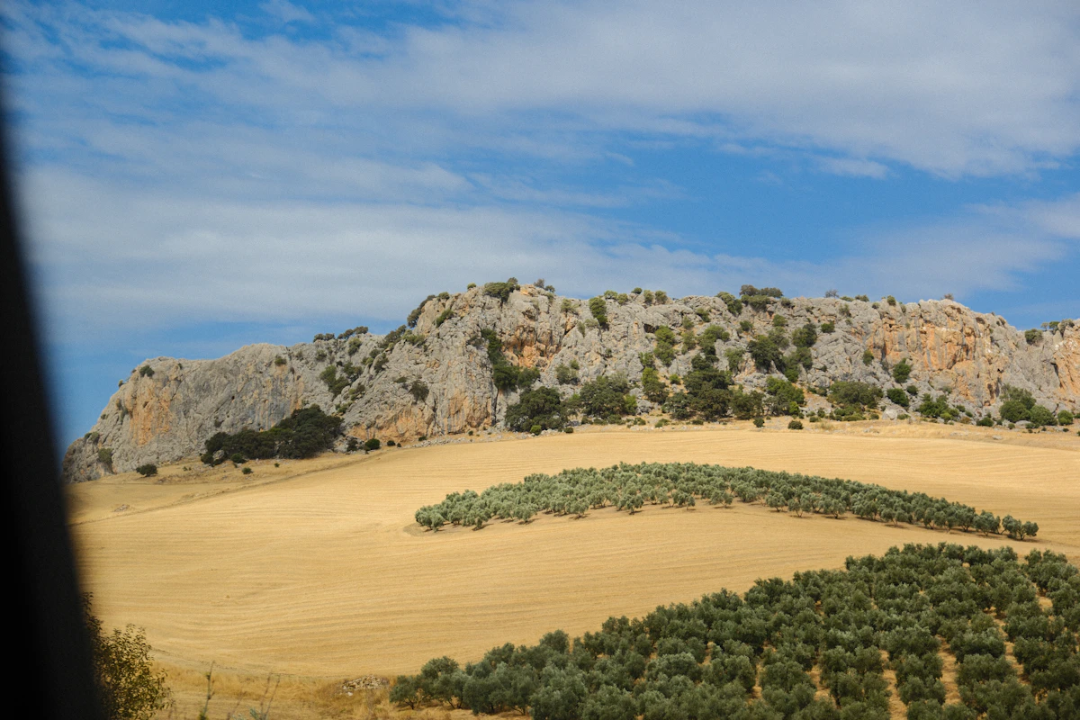 Building Plot with Title Deeds, Agios Athanasios