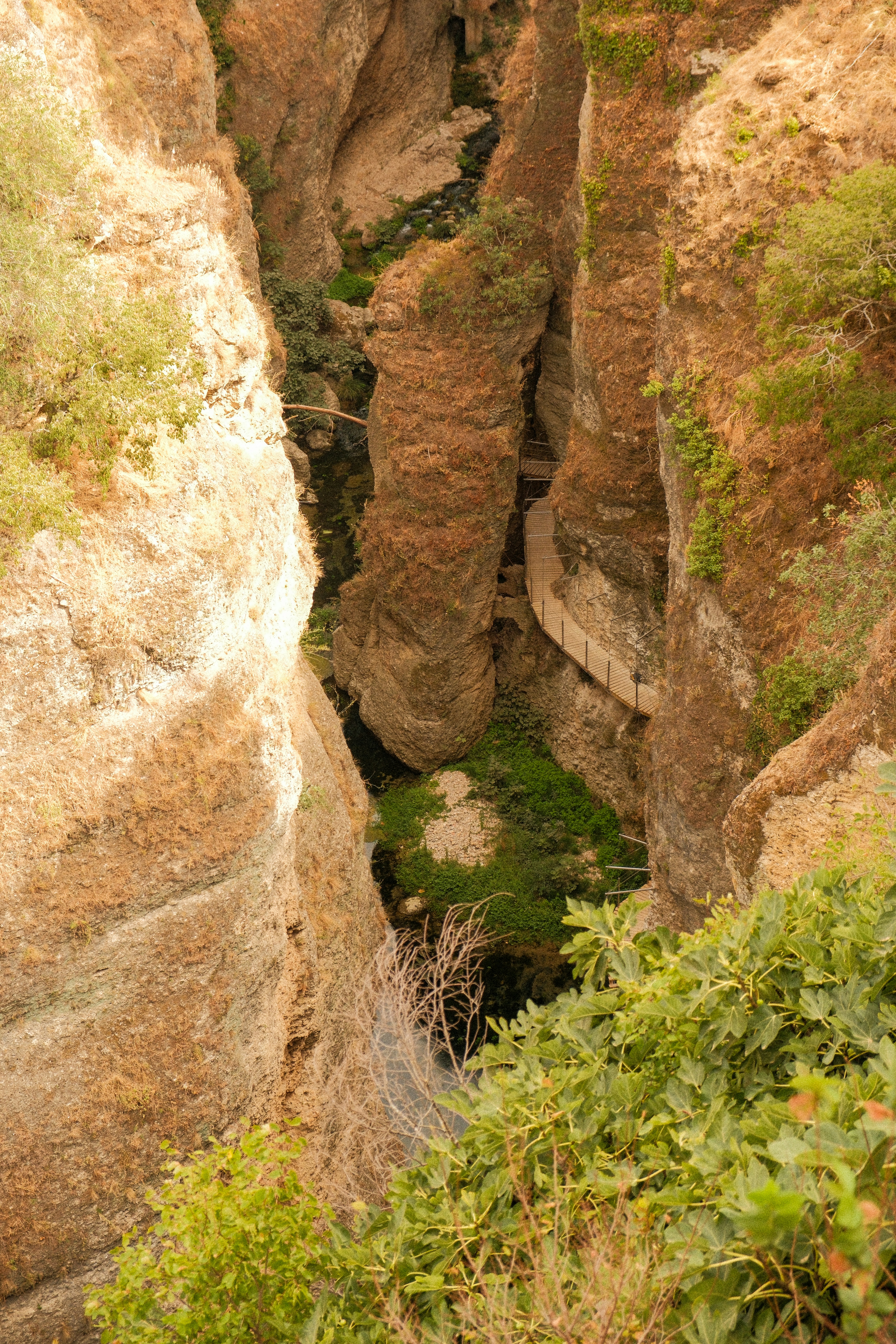 Photo by alexispresa