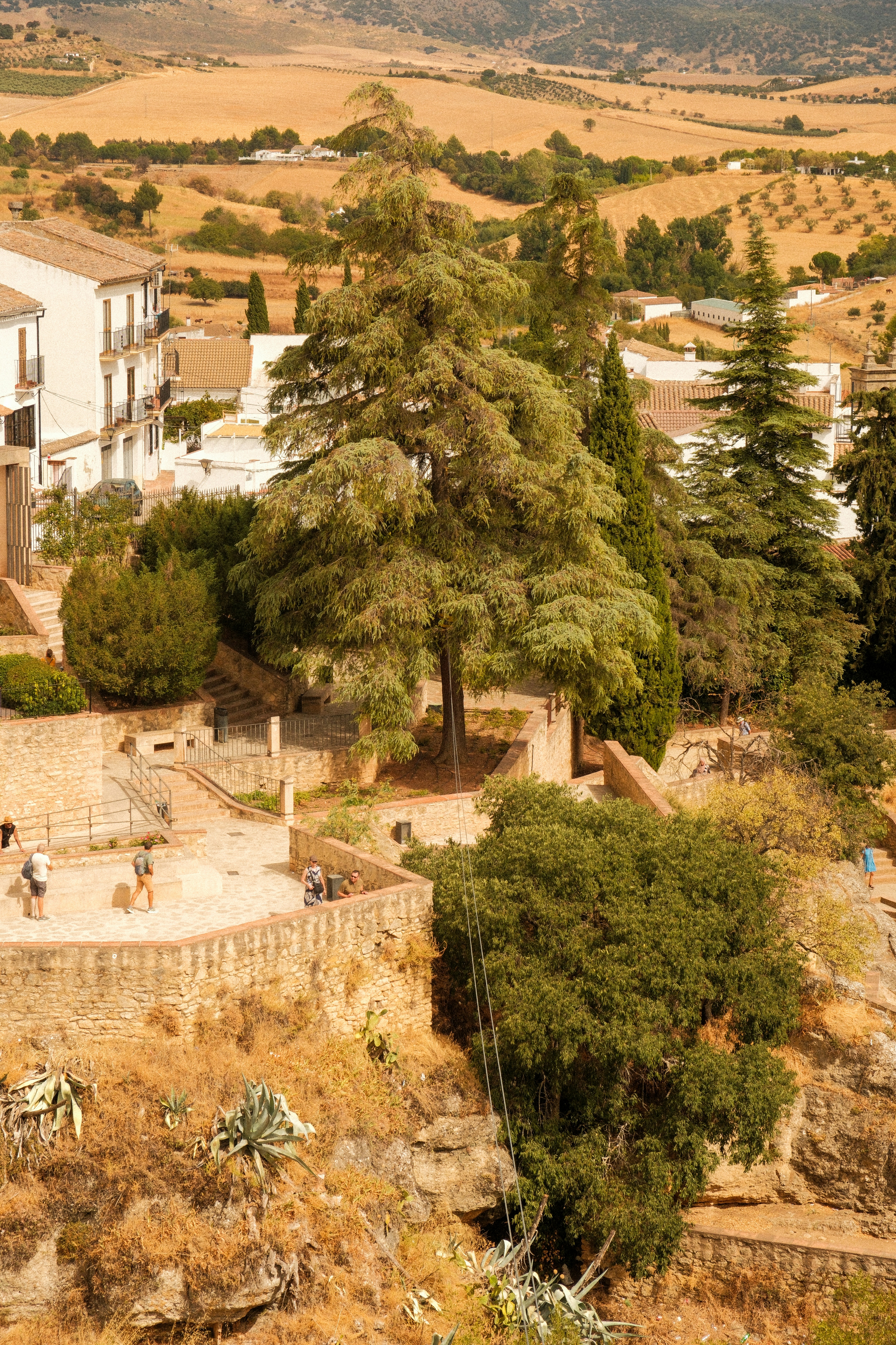 Photo by alexispresa