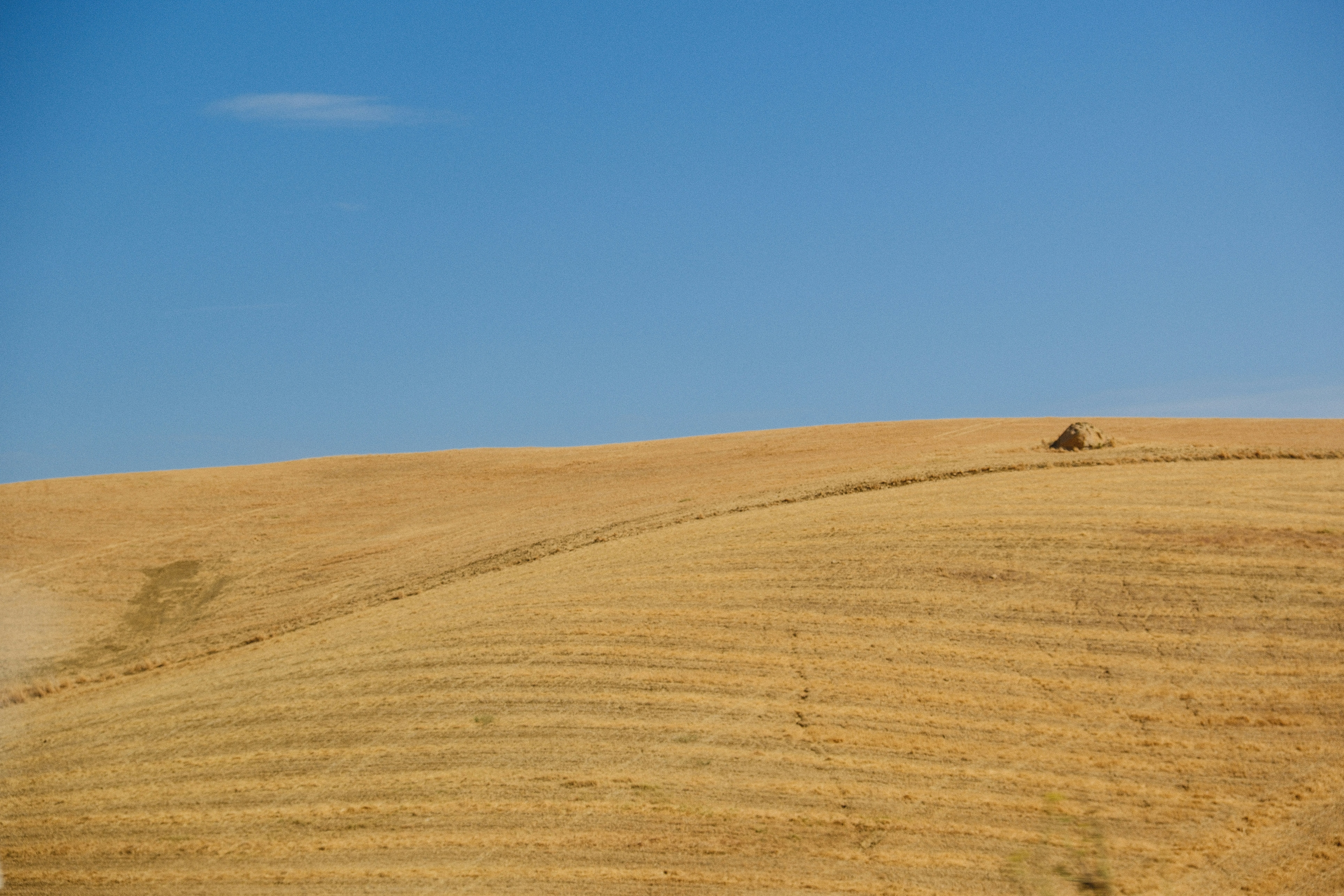 Photo by alexispresa