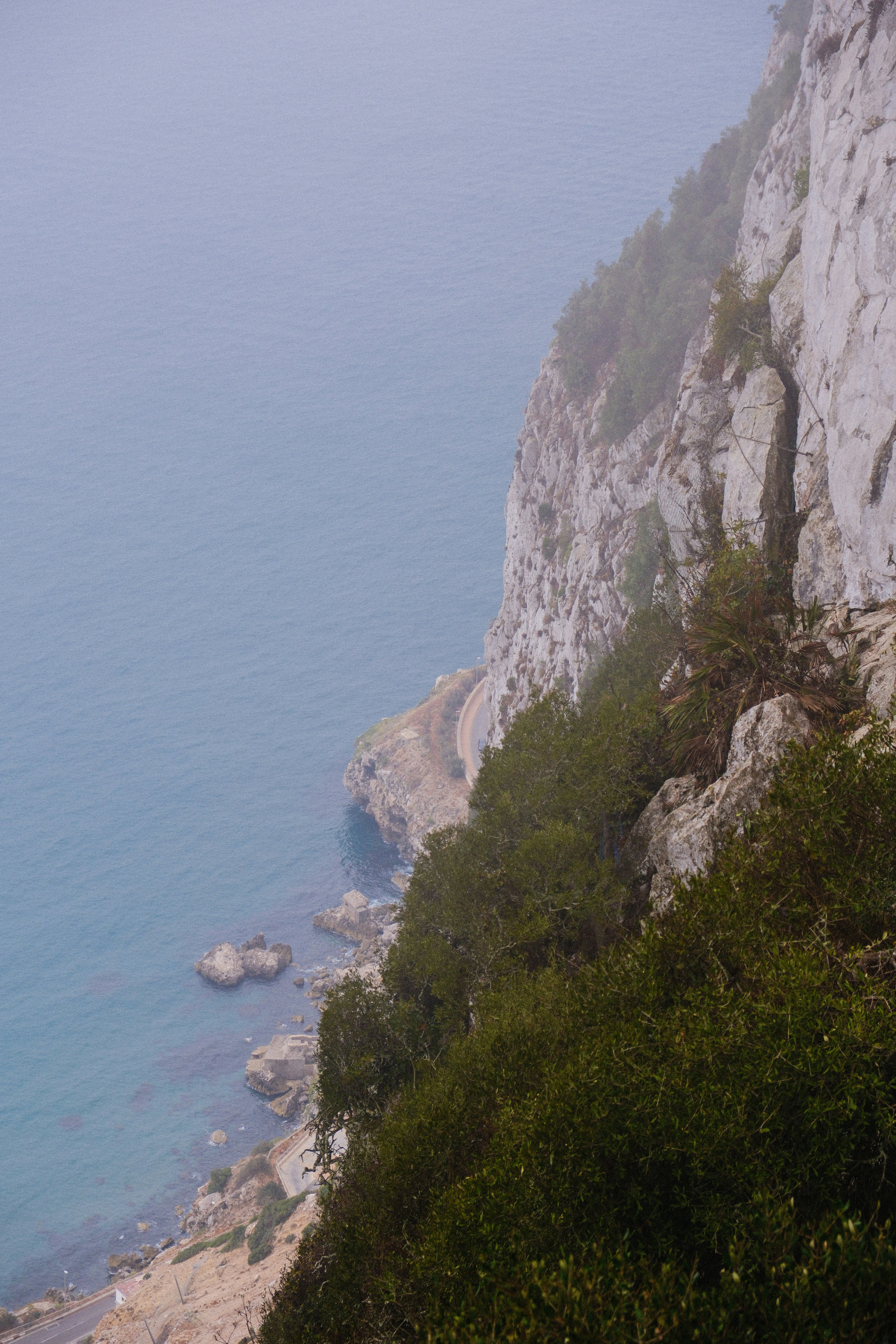 Photo by alexispresa