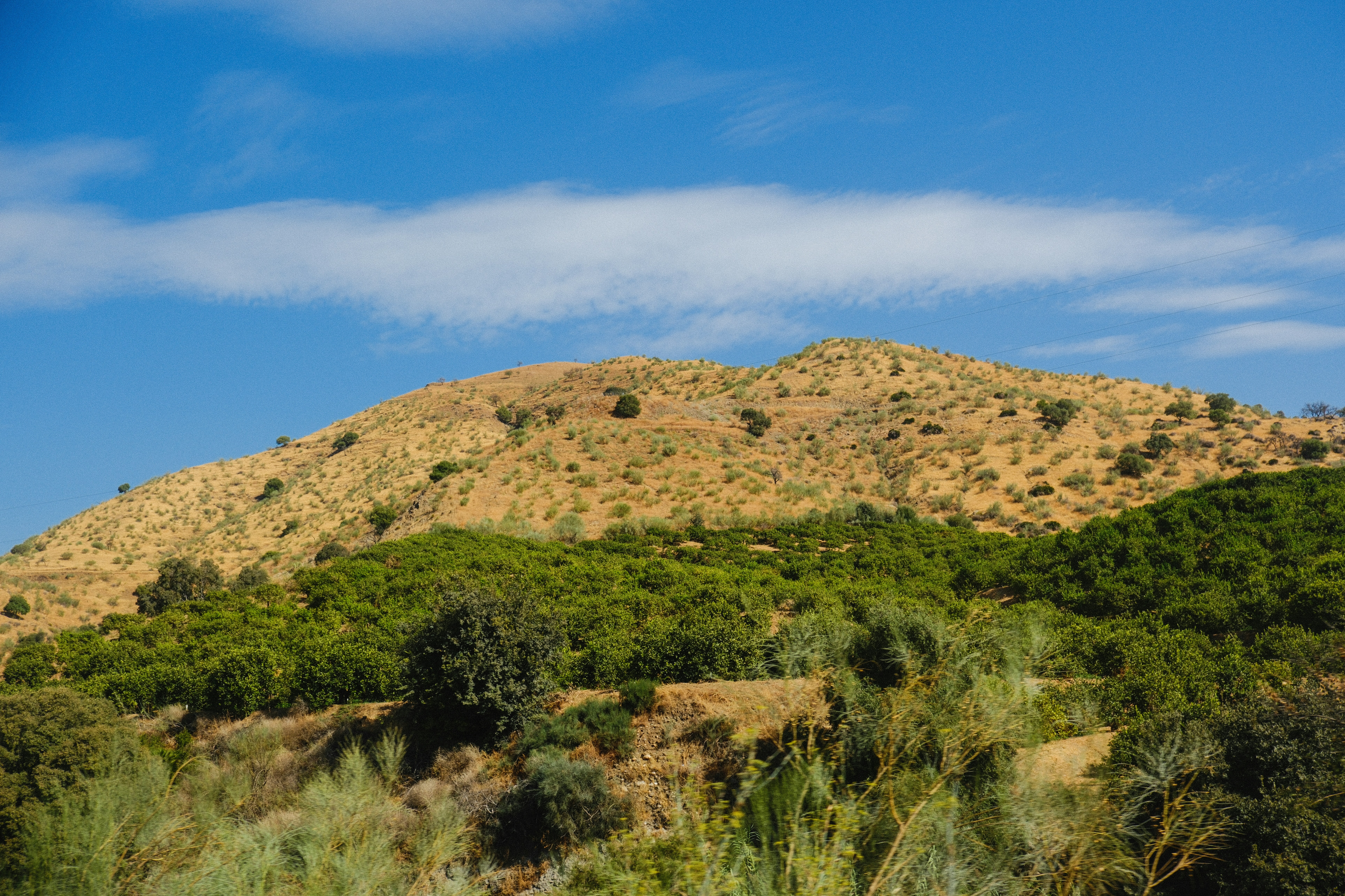 Photo by alexispresa