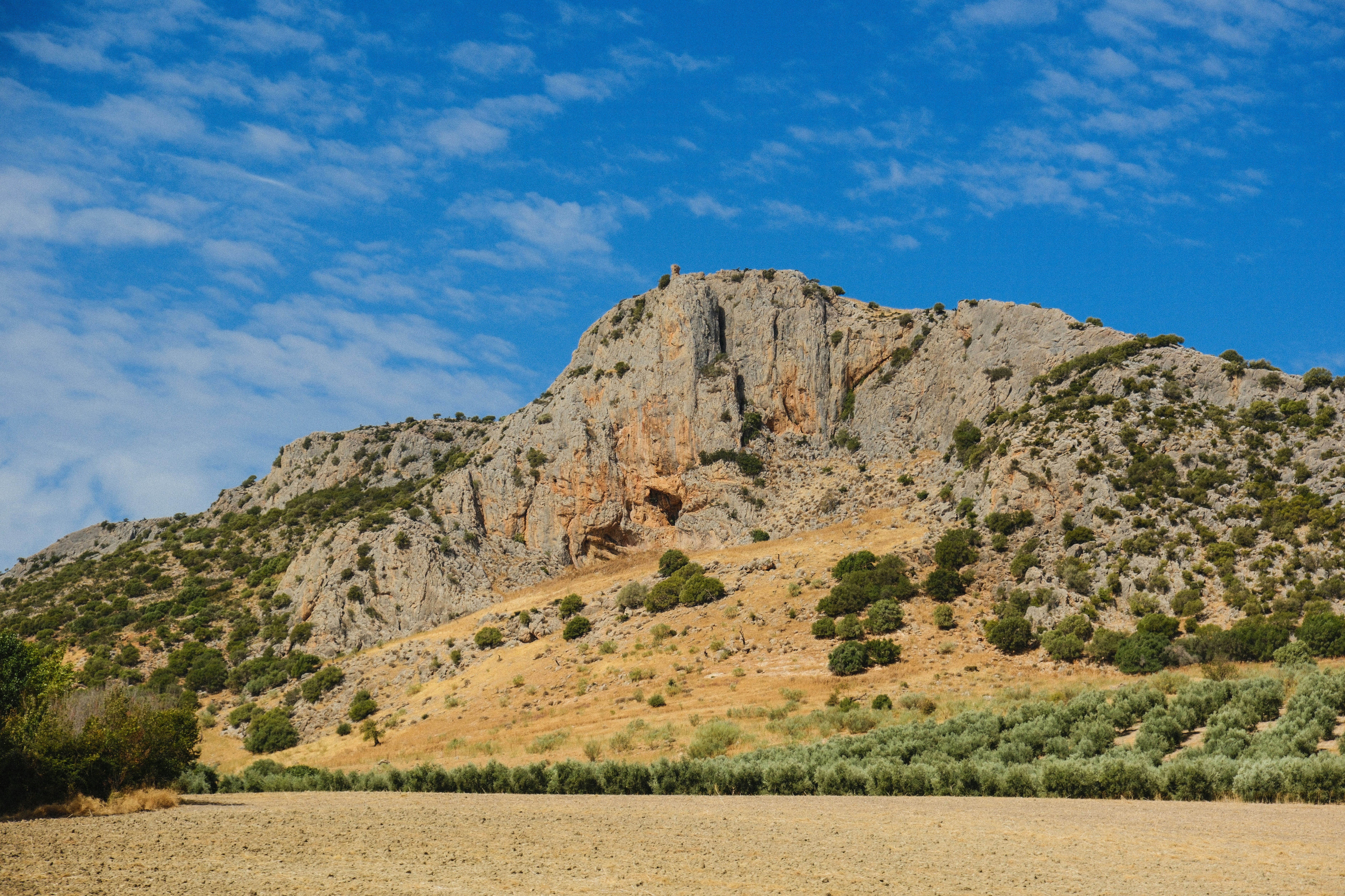 Photo by alexispresa